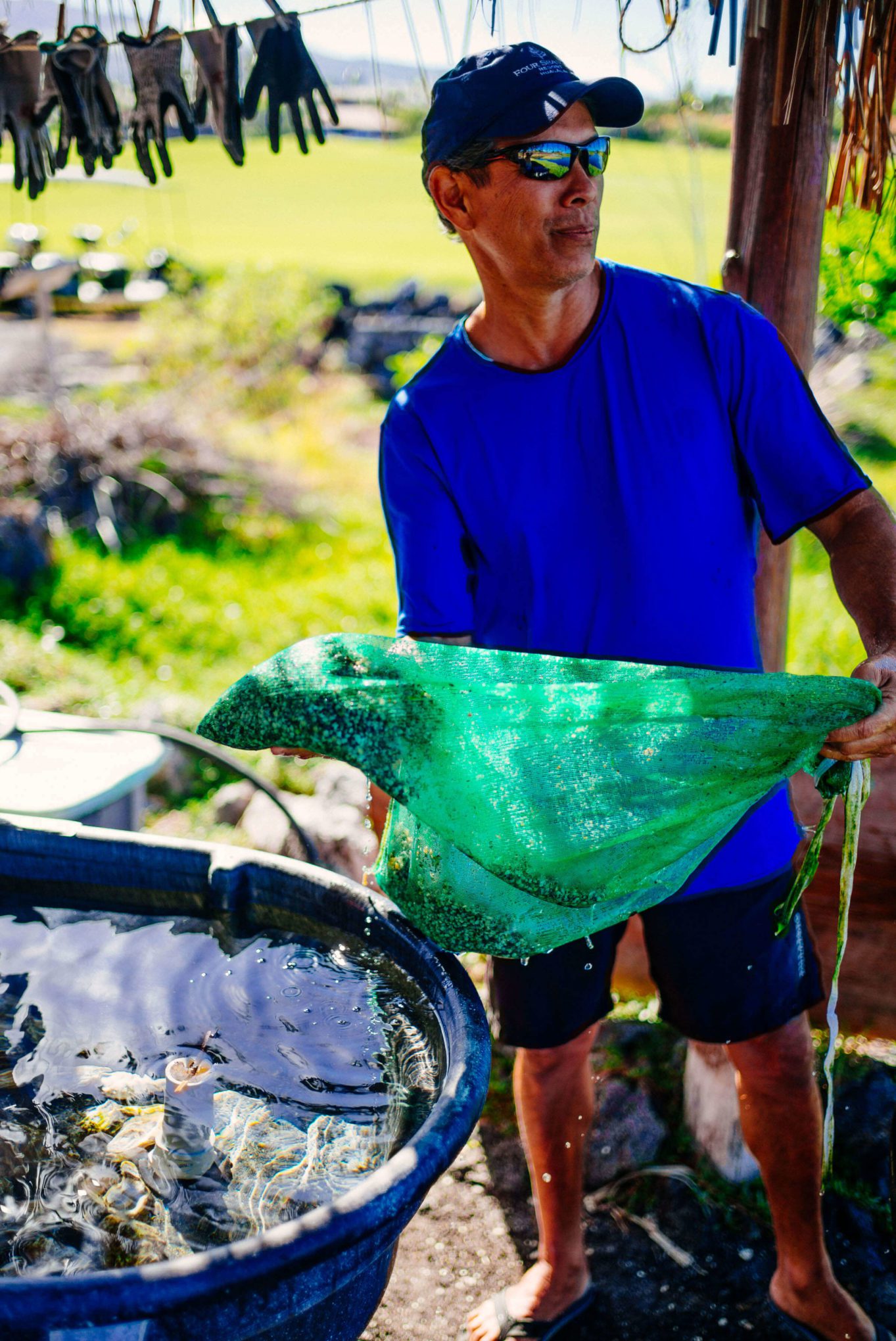 The Four Seasons Hualalai farm raising oysters to serve at their restaurants in Kona Hawaii, David Chai, the oyster farm and resort’s director of natural resources tells us more about the process, The Taste Edit