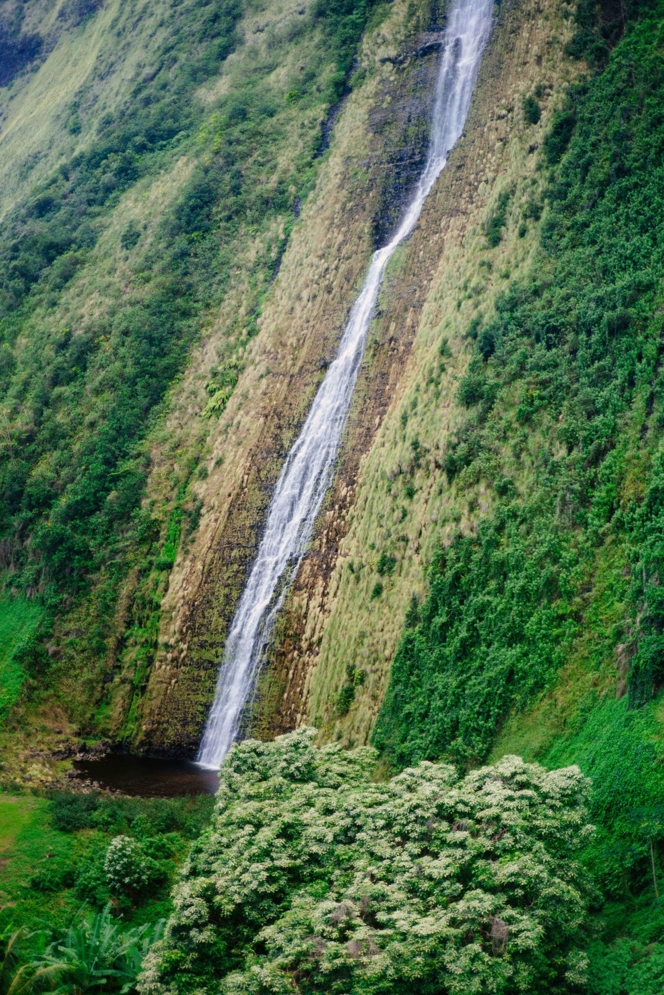 Stopping at a waterfall on Helicopter Ride in Hawaii Kona, The Taste Edit