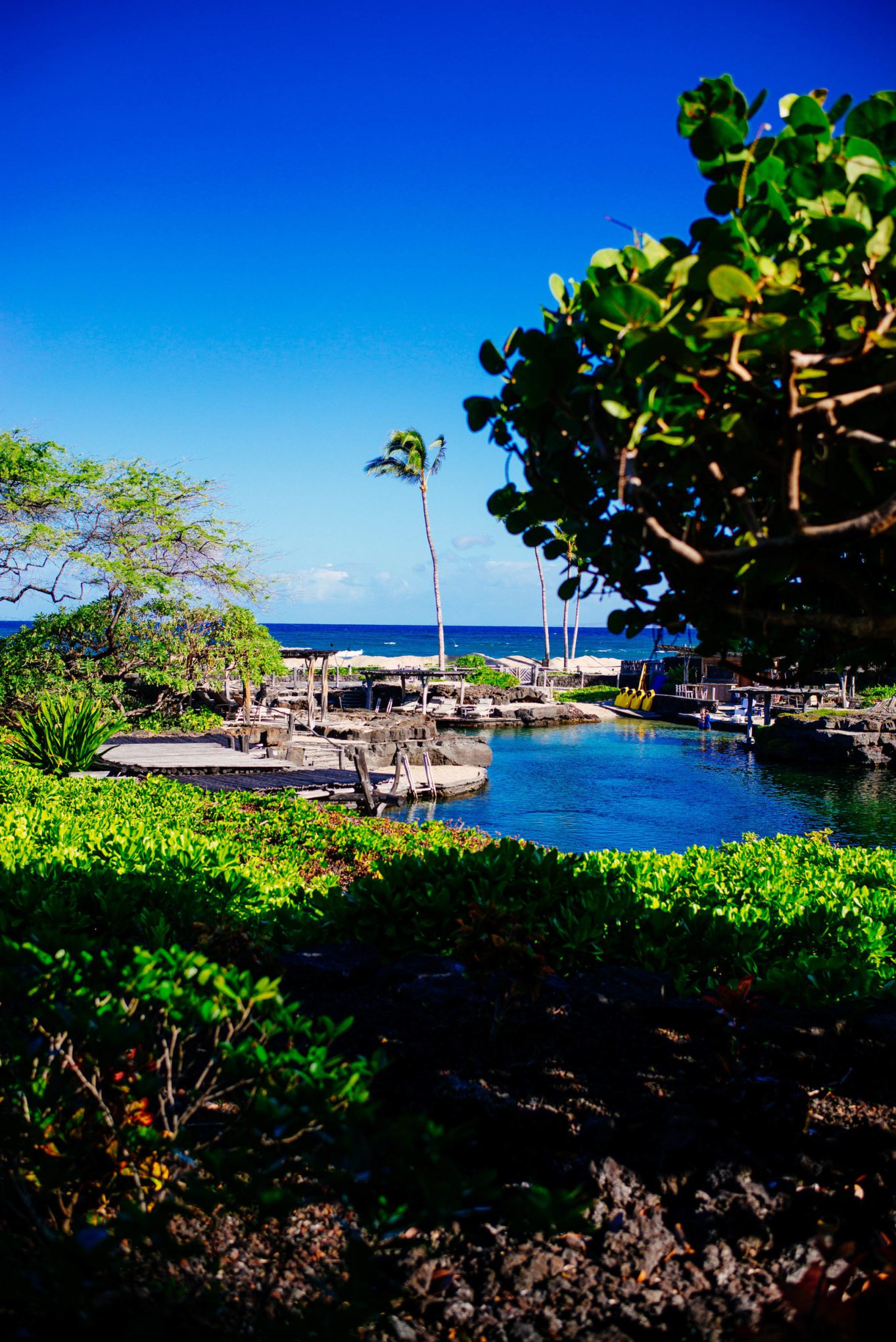 Kings Pond in at the Four Seasons Hualalai the luxury hotel in Kona, thetasteSF