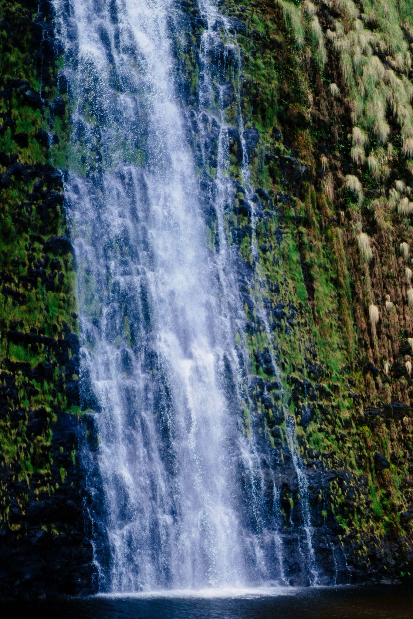 Visit Kona and the Big Island of Hawaii, see the waterfalls upclose, The Taste Edit