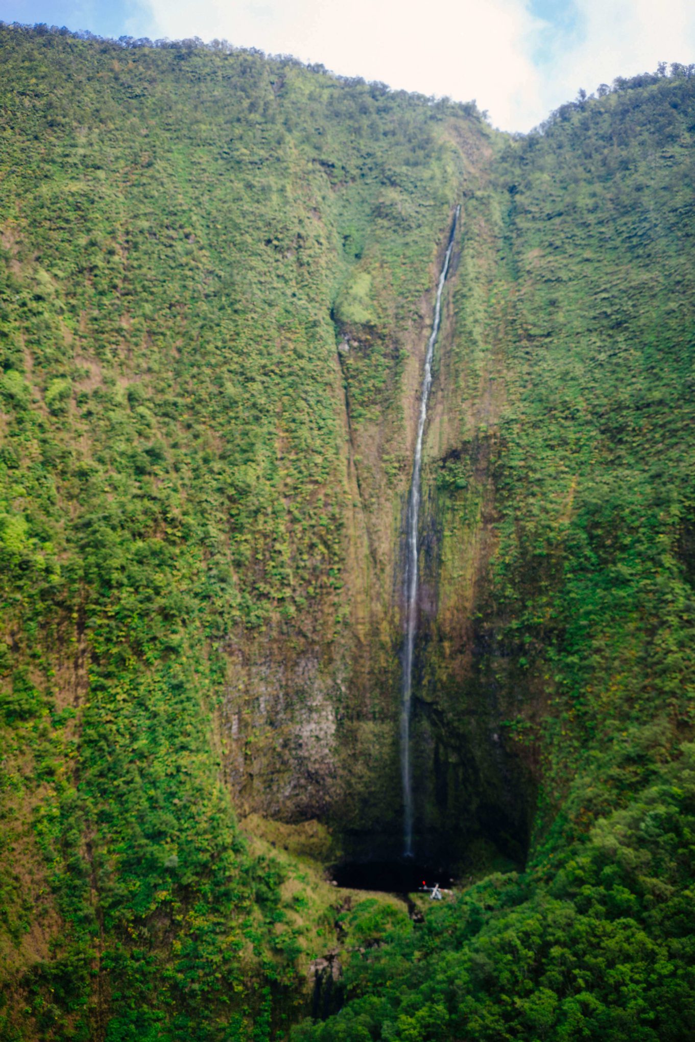 Visit Kona and the Big Island of Hawaii, see the waterfalls and volcanos, The Taste Edit