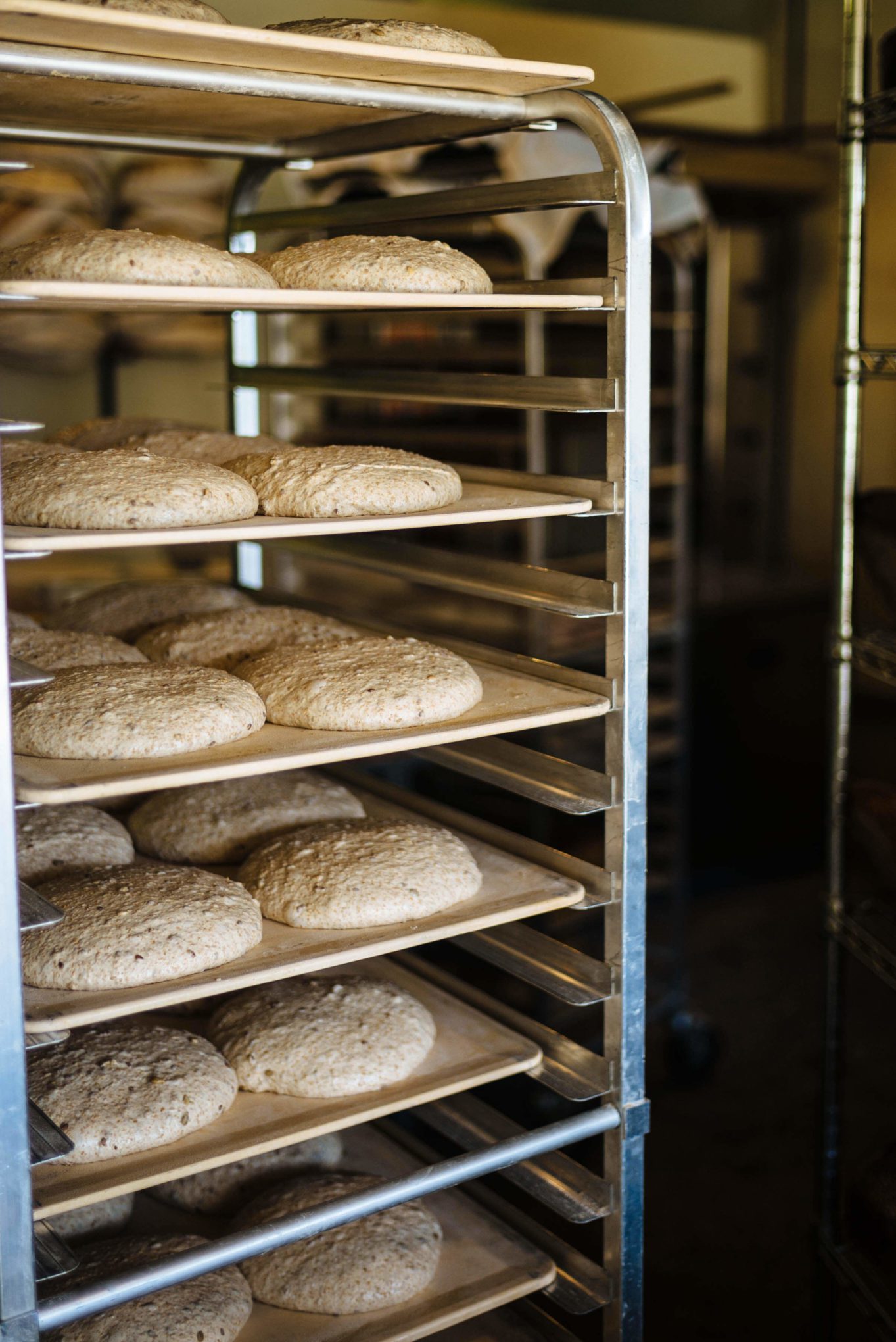 Dough rising at Boulted Bread in Raleigh the best place for bread and pastries, The Taste Edit