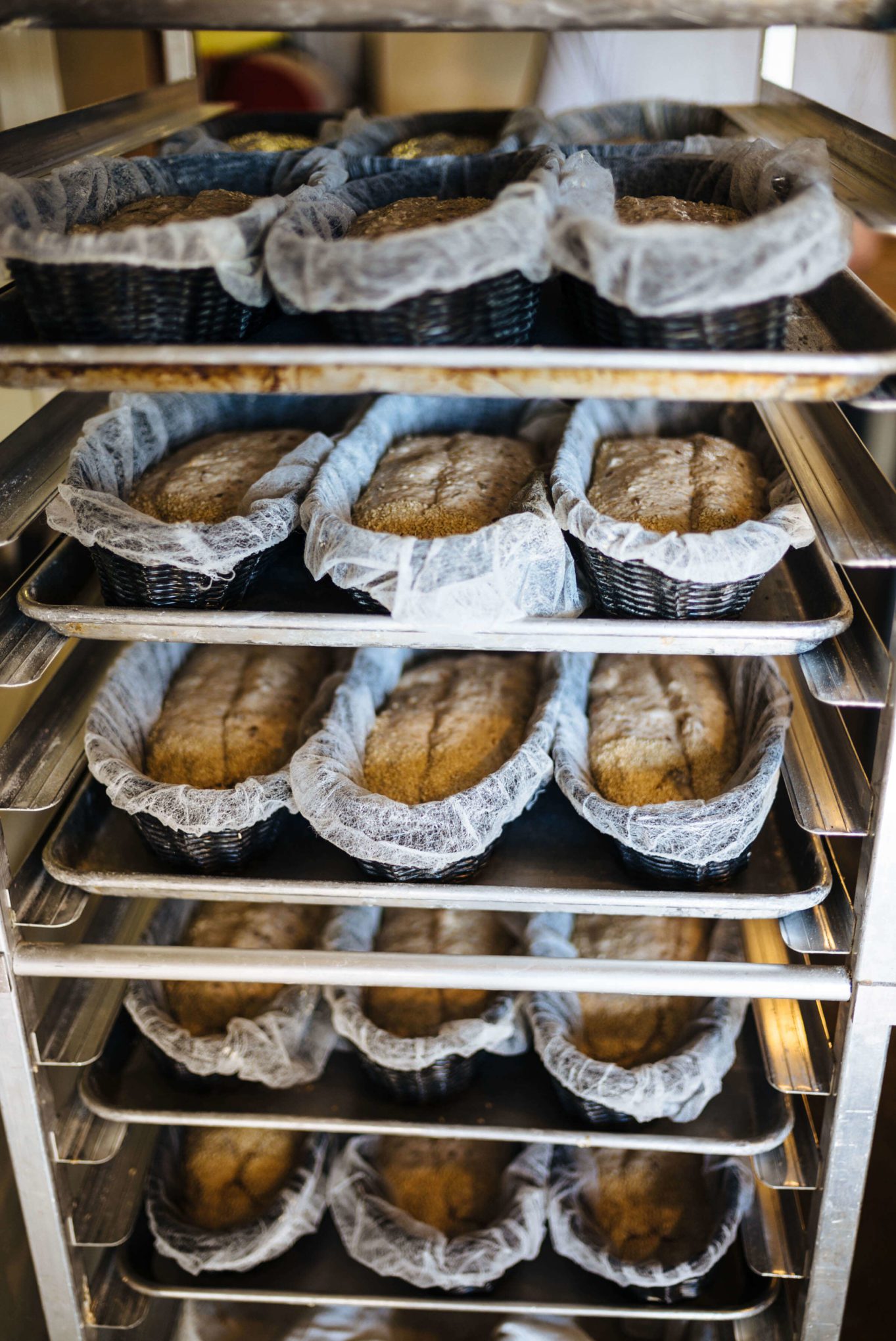 Proofing bread at Boulted Bread in Raleigh has the best bread and pastries, The Taste Edit