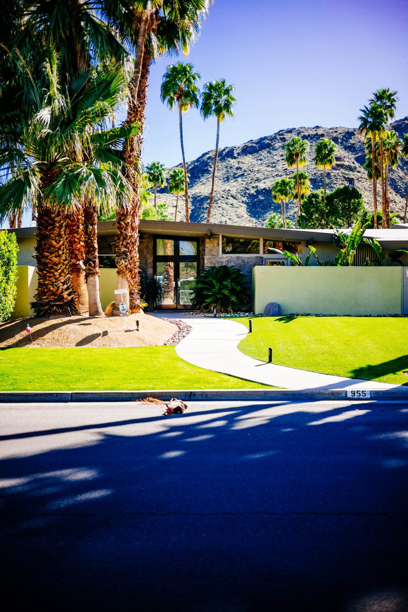 : Tour the beautiful Mid Century Homes in Palm Springs, The Taste Edit