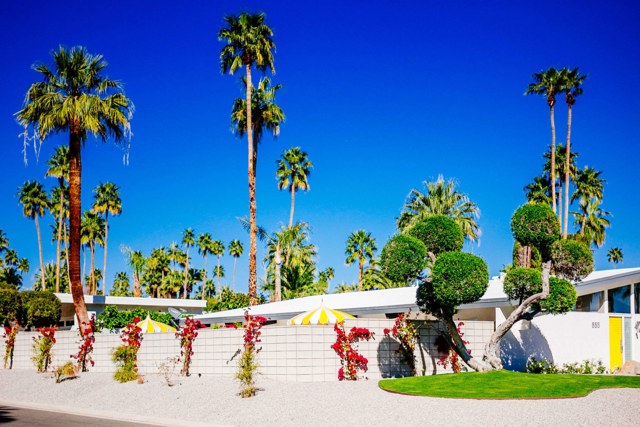 Creeping bougainvillea : Tour the beautiful Mid Century Homes in Palm Springs, The Taste Edit