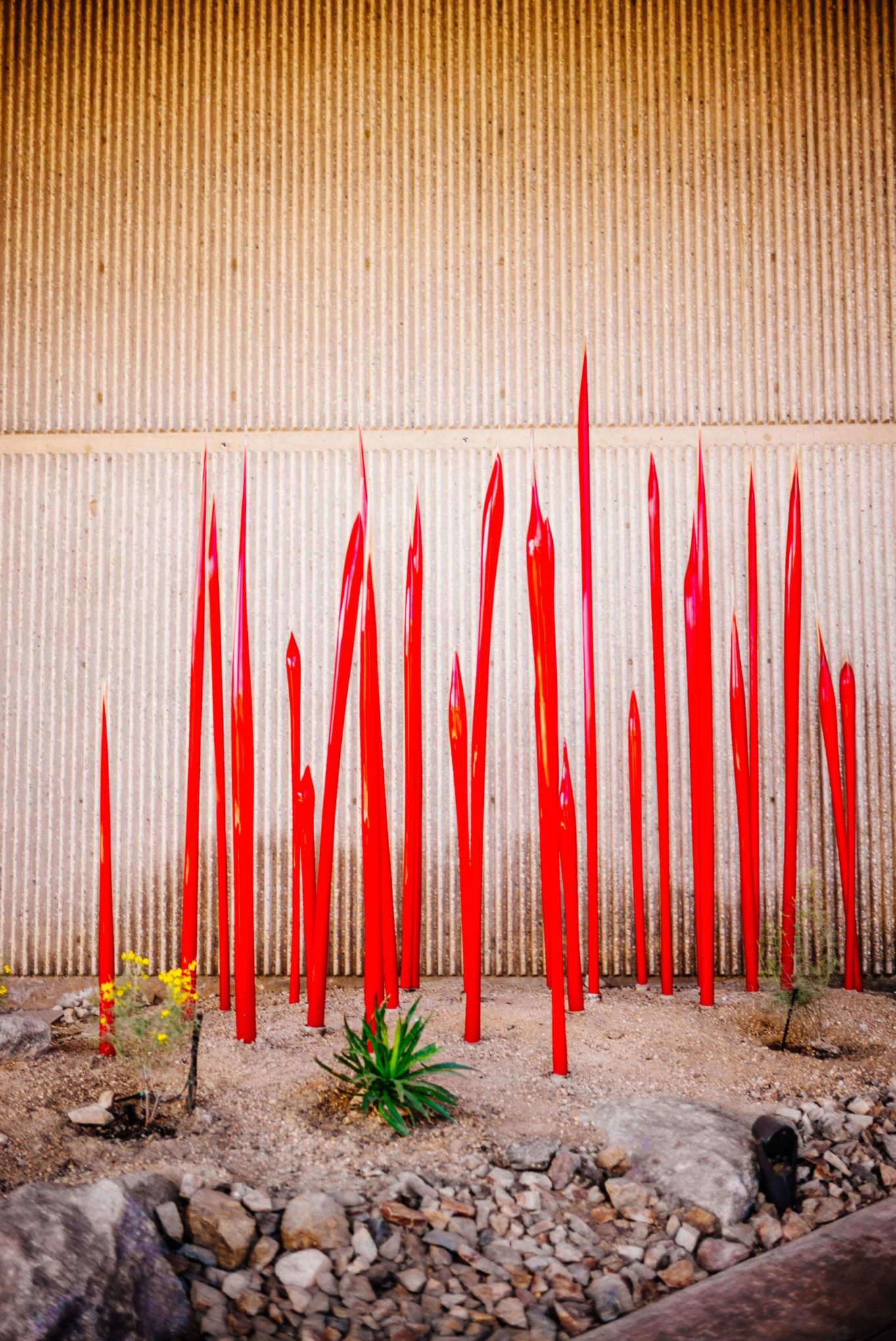 Here's a view from the sculpture garden of the chihuly glass. If you love modern art you must visit the Palm Springs Art Museum, The Taste Edit