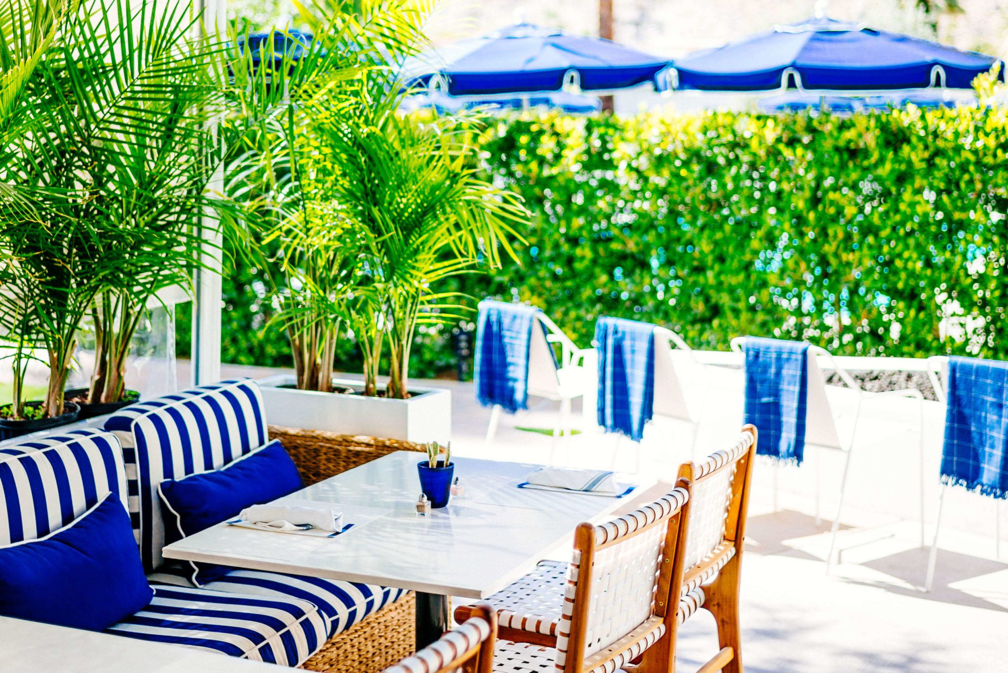 You should visit Holiday House in Palm Springs is an adorable hotel in the heart of downtown for lunch or brunch, The Taste Edit