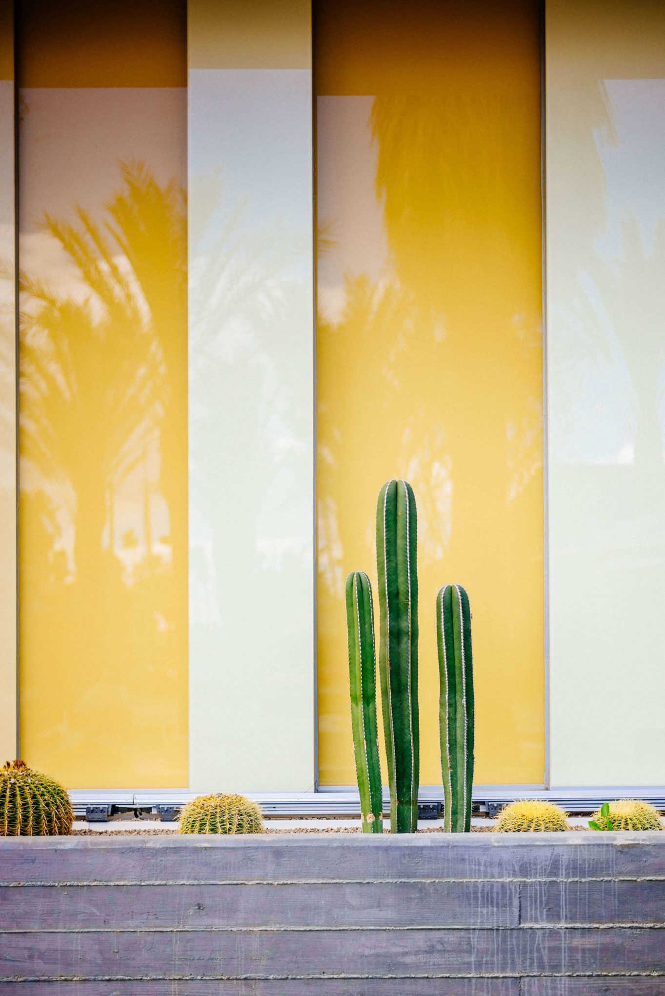 We love the cactus at the Kimpton Rowan Hotel in Palm Springs is a dessert retreat, The Taste Edit