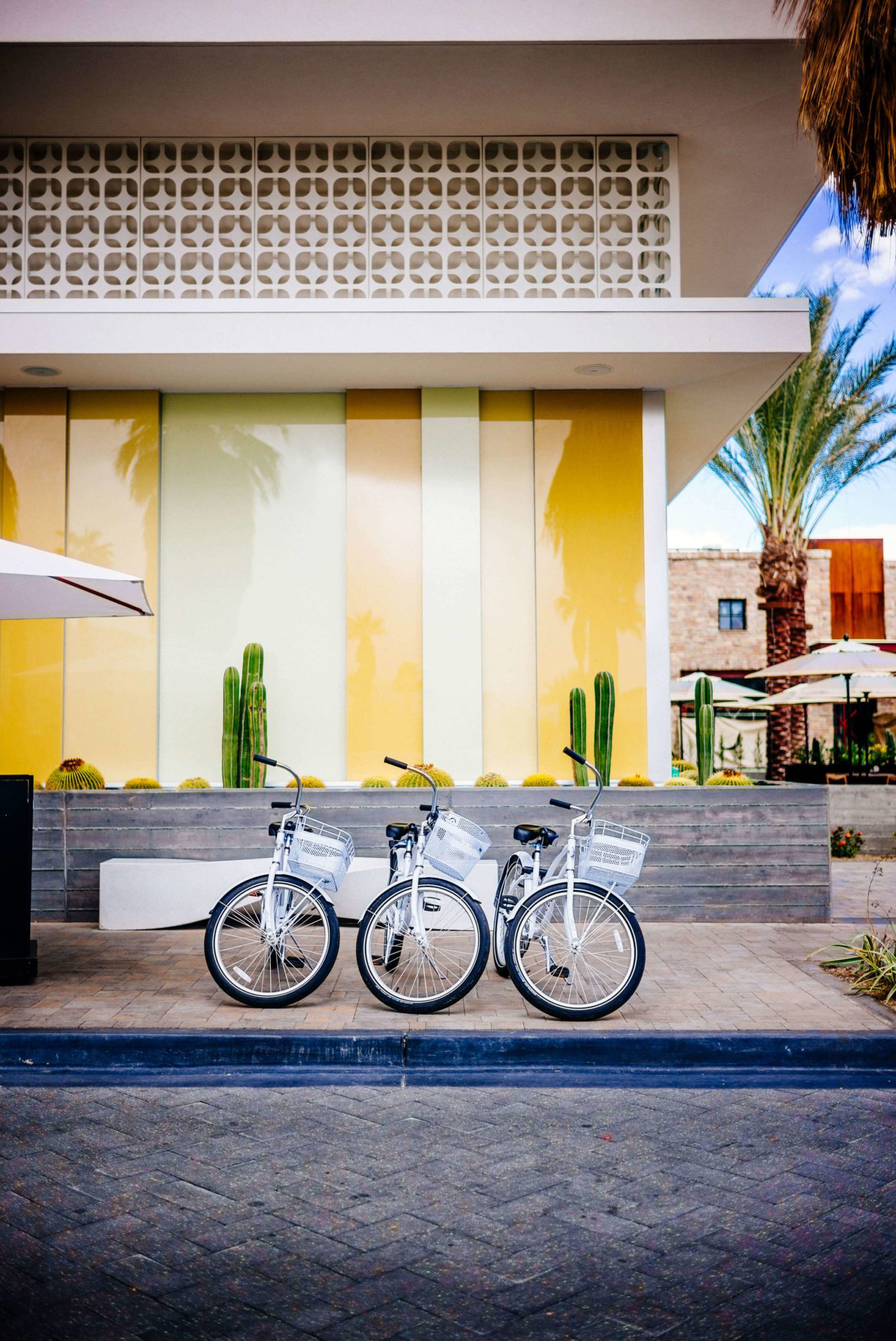 Get a bicycle to tour Palm Springs homes at the Kimpton Rowan Hotel in Palm Springs is a dessert retreat, The Taste Edit