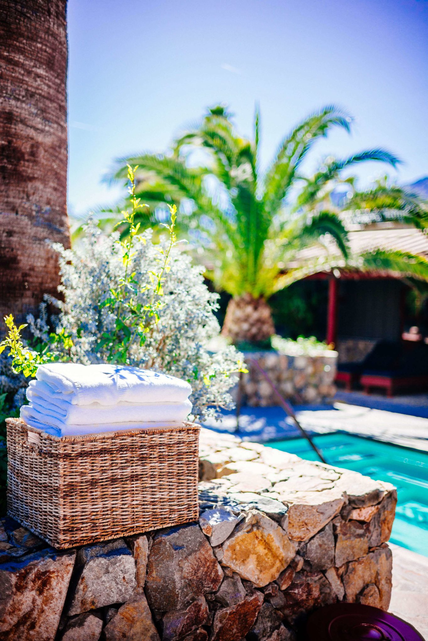 Be lazy by the pool at Sparrows Lodge. It is the perfect retreat in Palm Springs. See our visit from thetasteedit.com