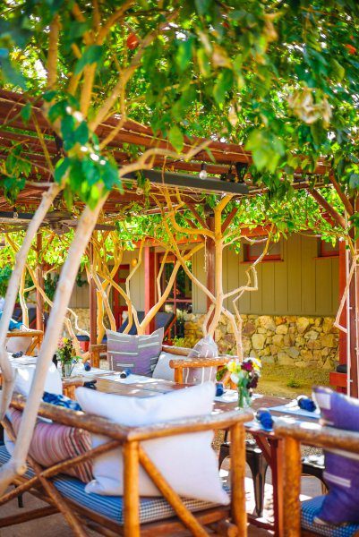 You'll find the best outdoor dining in Palm Springs seated under the orange trees at this hidden gem the Barn Kitchen at Sparrows Lodge in Palm Springs, thetasteedit
