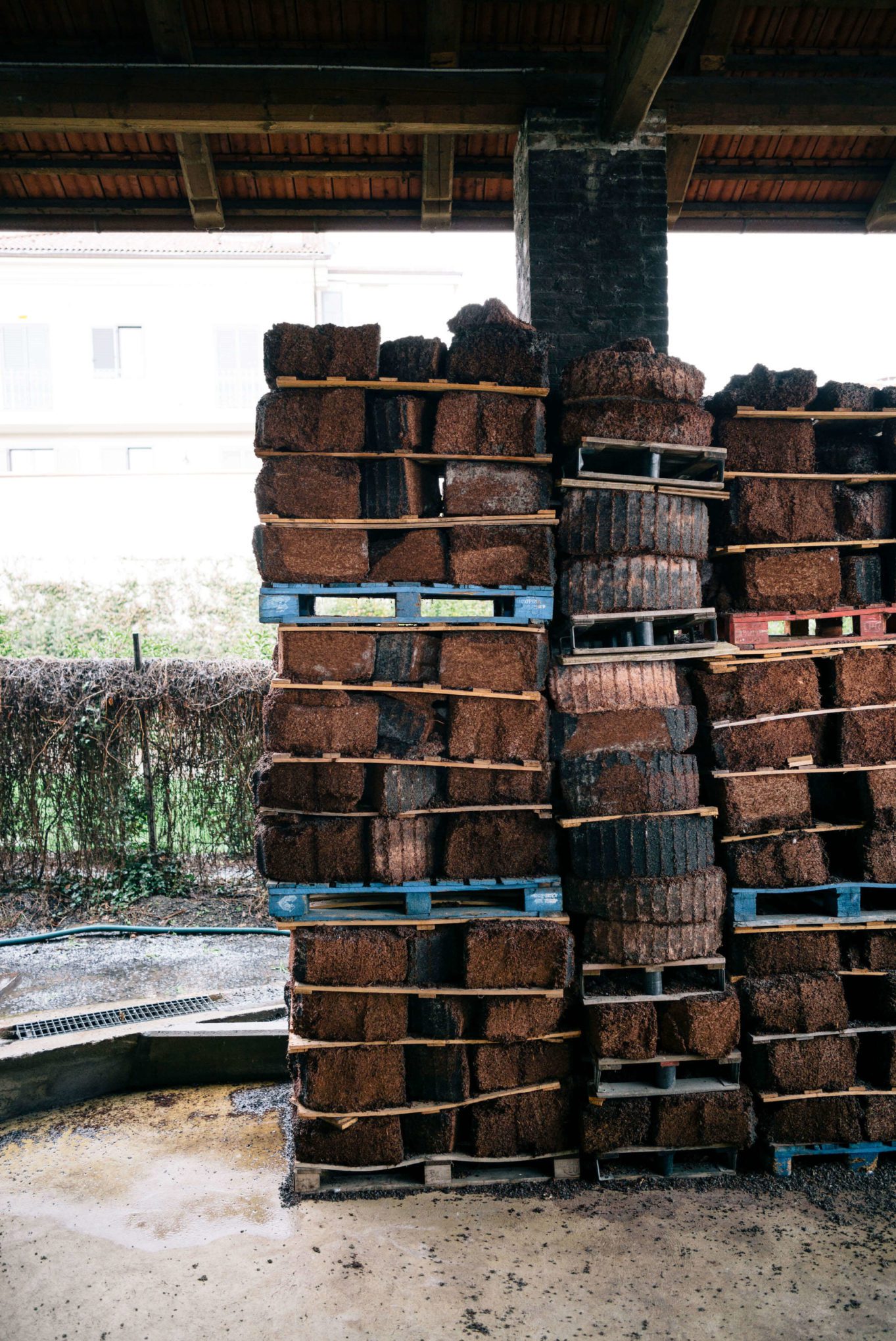 Dried pomace from the prior year's distillation process to fuel the fire for next year. The Taste Edit visiting Romano Levi Grappa distillery in Piedmont, Italy.