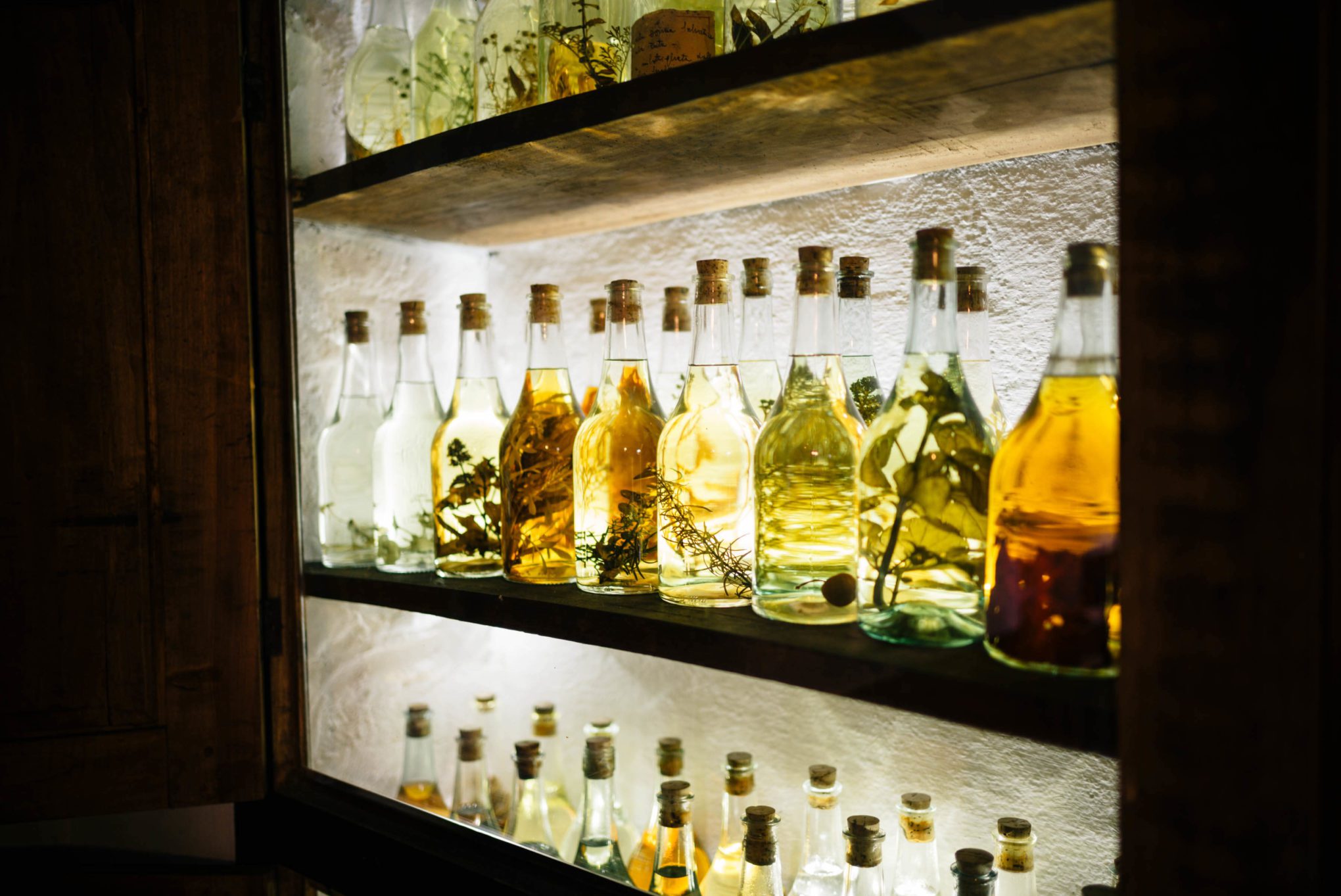 Bottles infused local herbs and plants. The Taste Edit visiting Romano Levi Grappa distillery in Piedmont, Italy.