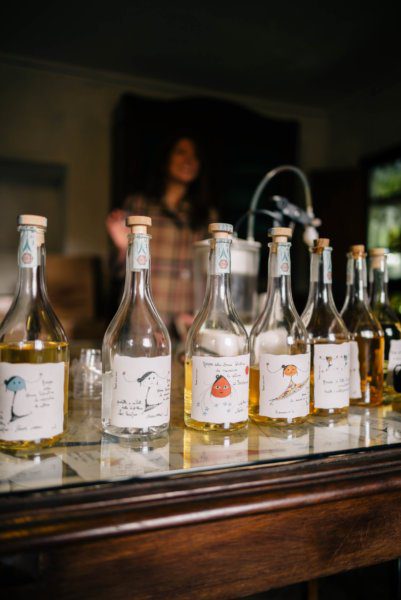 Taste some of the best grappa in the world - Romano Levi in Piedmont