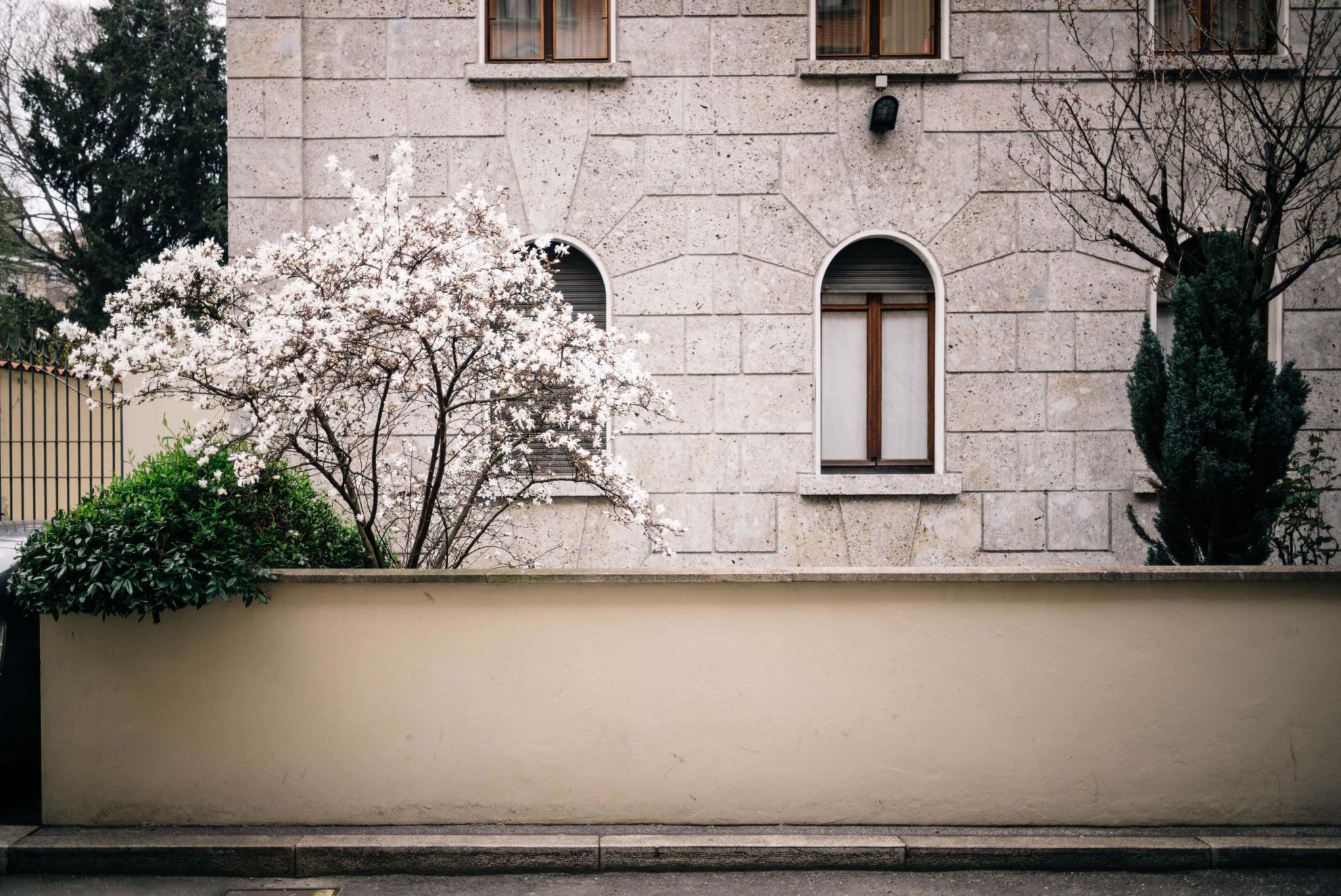 Spring trees blooming near the Hotel Bulgari Milano, The Taste Edit