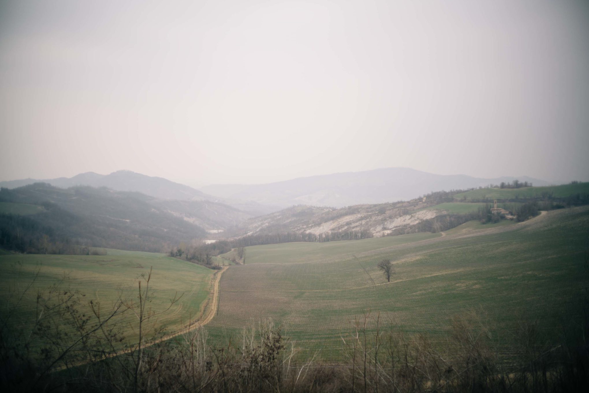 The Taste Edit, culinary photographers, recommends visiting this magical winery in northern Italy. Castello di Stefanago is near the town of Pavia in Lombardy. Winemaker and owner Giacomo Baruffaldi gives us a tour of the winery where they make Baruffaldi natural wines. The family lives in the castle. You can view the alps on a clear day.
