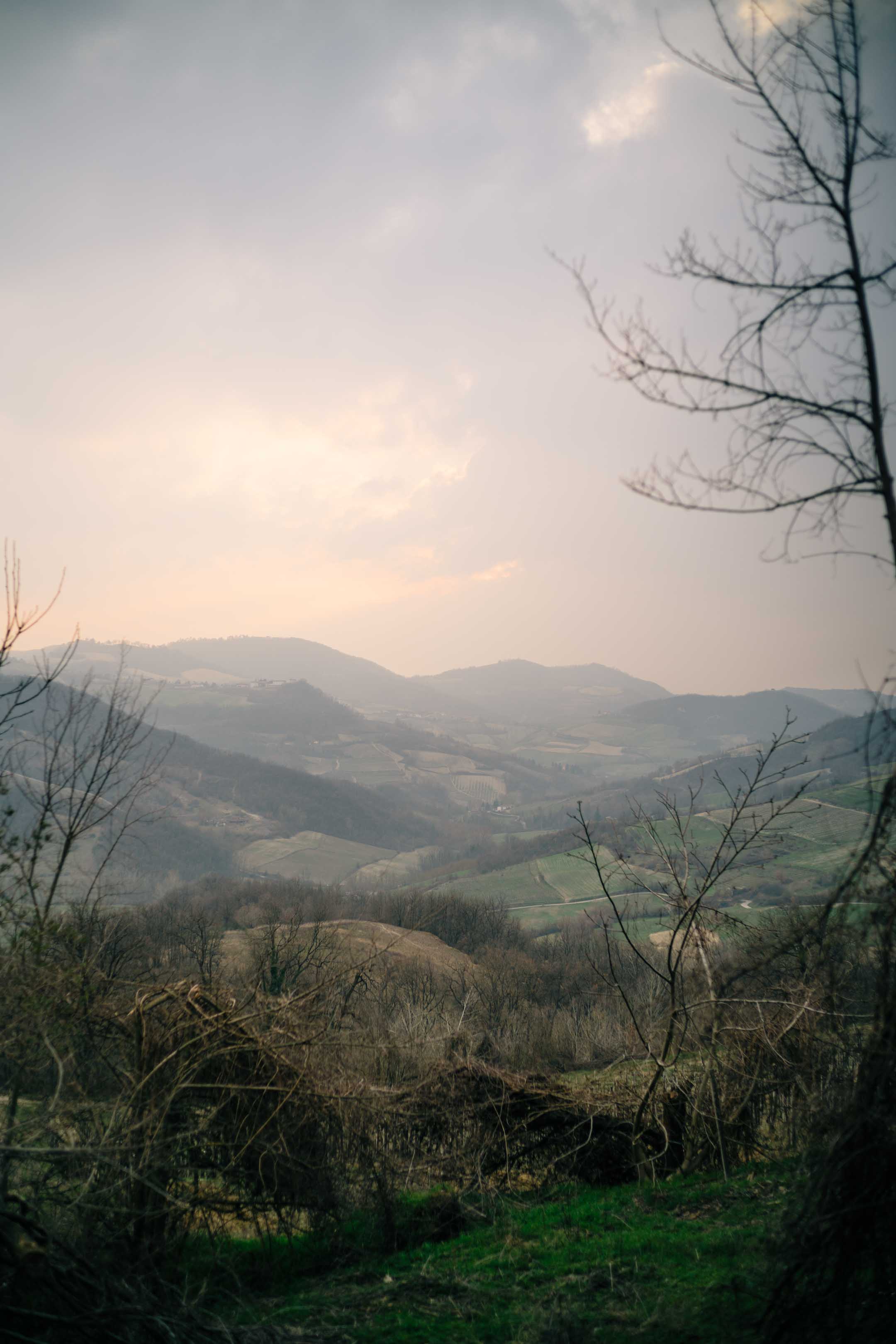 The Taste Edit, culinary photographers, recommends visiting this magical winery in northern Italy. Castello di Stefanago is near the town of Pavia in Lombardy. Winemaker and owner Giacomo Baruffaldi gives us a tour of the winery where they make Baruffaldi natural wines. See the sun setting over the vineyards.