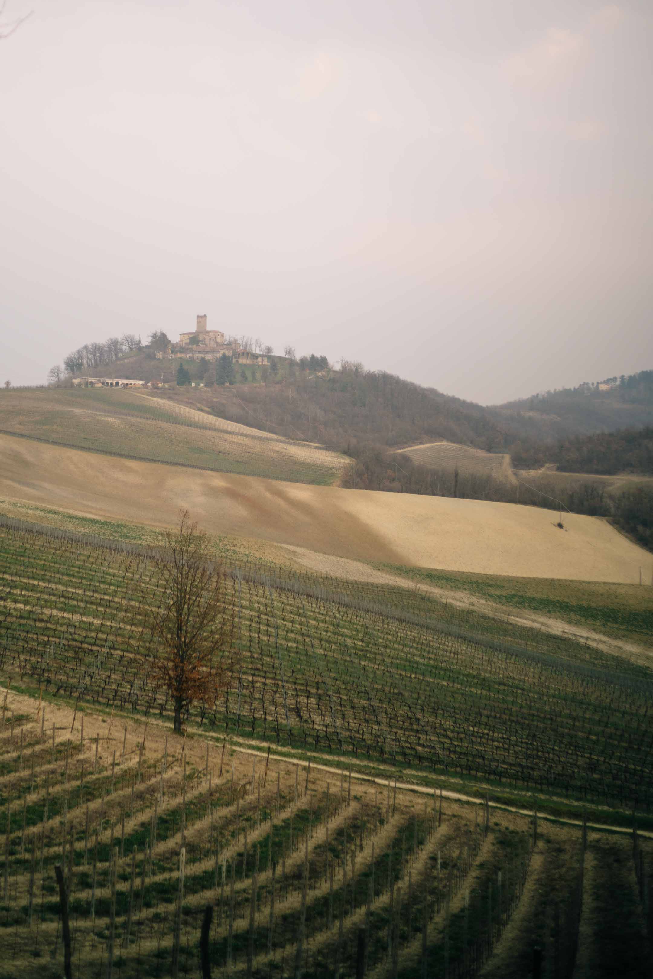 The Taste Edit, culinary photographers, recommends that you visit and drink wine from this magical winery in northern Italy. Castello di Stefanago is near the town of Pavia in Lombardy. Winemaker and owner Giacomo Baruffaldi gives us a tour of the winery where they make Baruffaldi natural wines. The vineyards go on for miles.