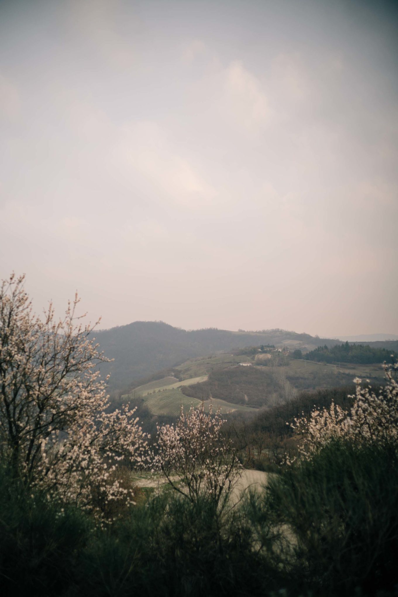 The Taste Edit, culinary photographers, recommends visiting this magical winery in northern Italy. Castello di Stefanago is near the town of Pavia in Lombardy. Winemaker and owner Giacomo Baruffaldi gives us a tour of the winery where they make Baruffaldi natural wines.