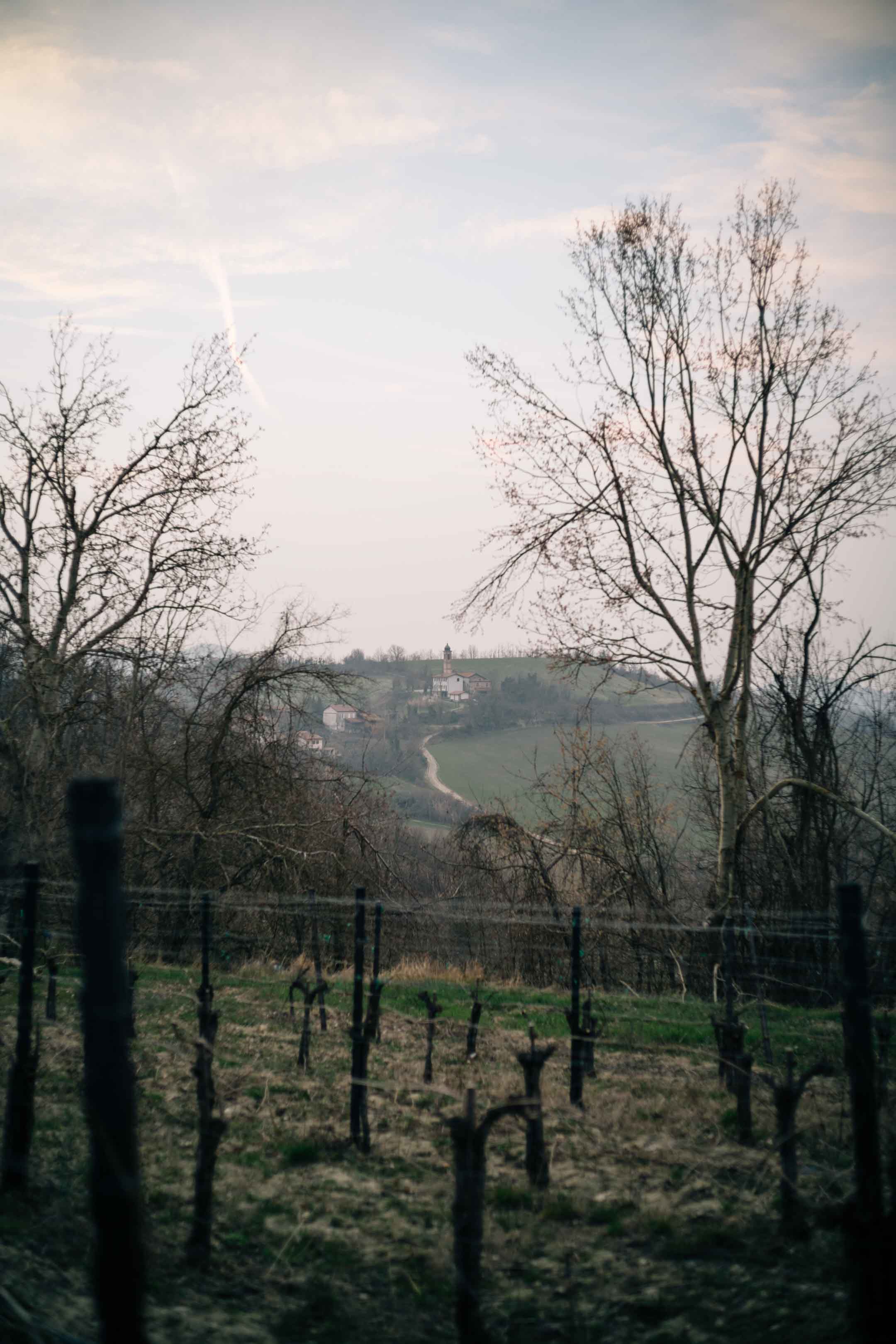 View the vineyards - The Taste Edit, culinary photographers, recommends visiting this magical winery in northern Italy. Castello di Stefanago is near the town of Pavia in Lombardy. Winemaker and owner Giacomo Baruffaldi gives us a tour of the winery where they make Baruffaldi natural wines.