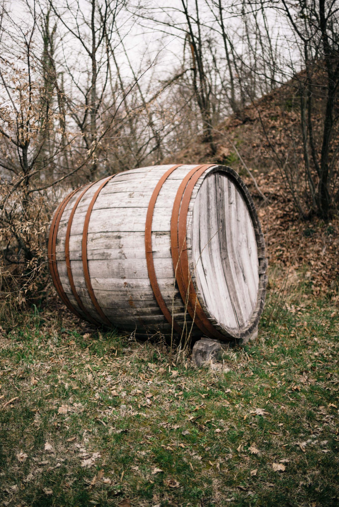 The Taste Edit, culinary photographers, recommends visiting this magical winery in northern Italy. Castello di Stefanago is near the town of Pavia in Lombardy. Winemaker and owner Giacomo Baruffaldi gives us a tour of the winery where they make Baruffaldi natural wines. Barrel at the entrance to the property.