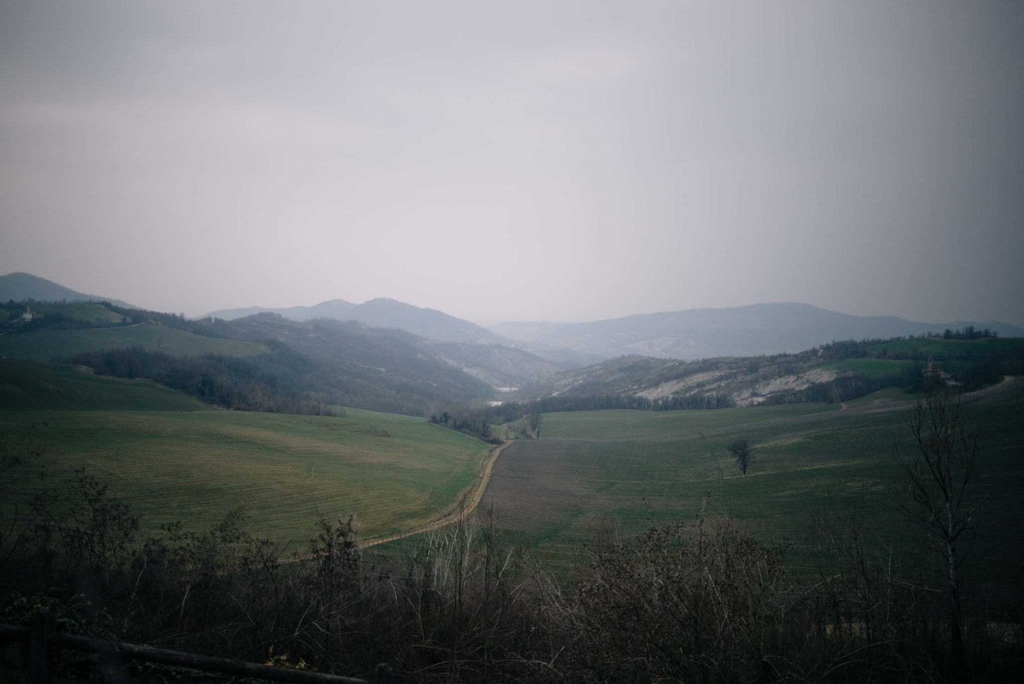 The Taste Edit, culinary photographers, recommends visiting this magical winery in northern Italy. Castello di Stefanago is near the town of Pavia in Lombardy. Winemaker and owner Giacomo Baruffaldi gives us a tour of the winery where they make Baruffaldi natural wines in Lombardy.