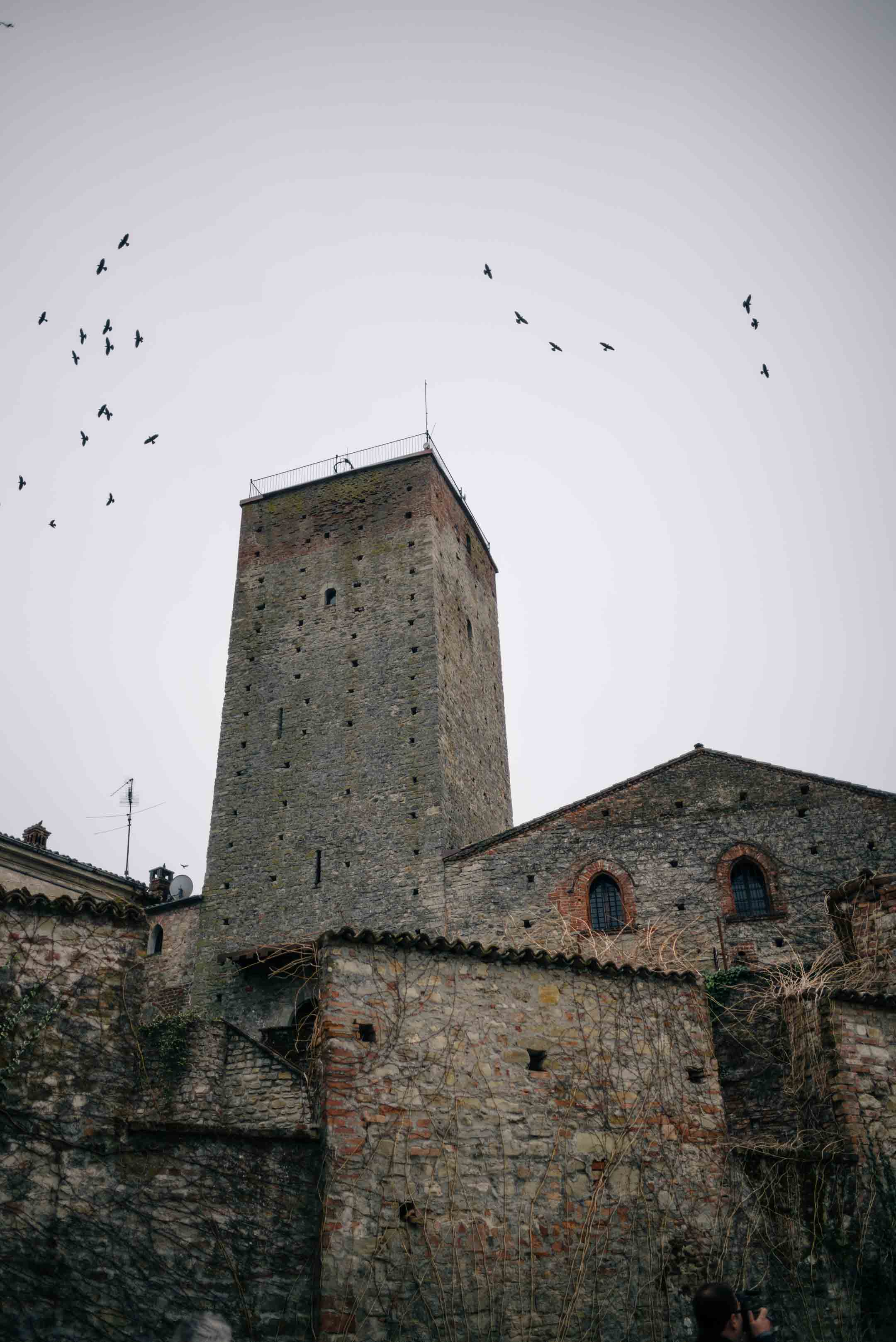 The Taste Edit, culinary photographers, recommends visiting this magical winery in northern Italy. Castello di Stefanago is near the town of Pavia in Lombardy. Winemaker and owner Giacomo Baruffaldi gives us a tour of the winery where they make Baruffaldi natural wines. Birds flying around the castle tower.