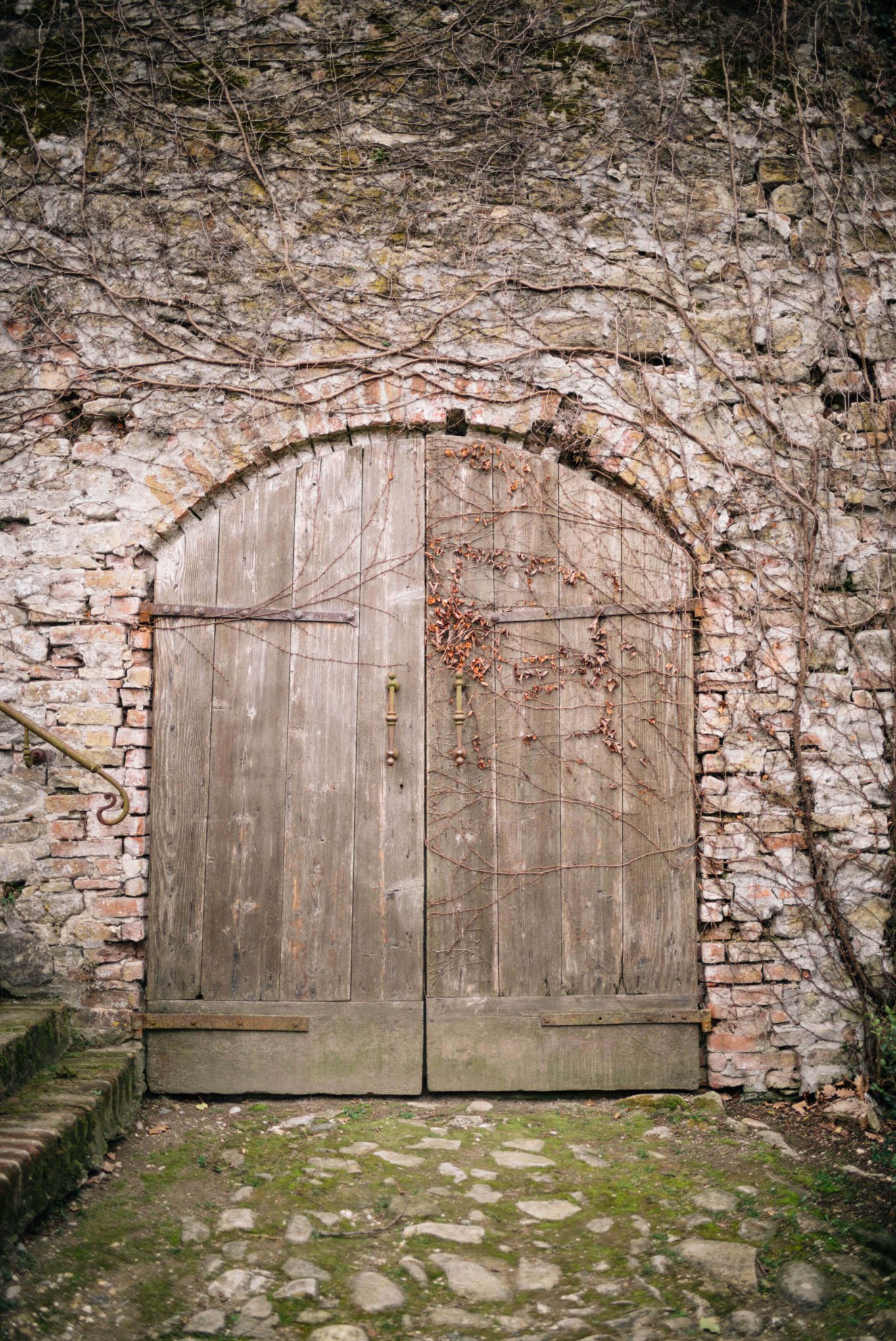The Taste Edit, culinary photographers, recommends visiting this magical winery in northern Italy. Castello di Stefanago is near the town of Pavia in Lombardy. Winemaker and owner Giacomo Baruffaldi gives us a tour of the winery where they make Baruffaldi natural wines. Door in the castle.