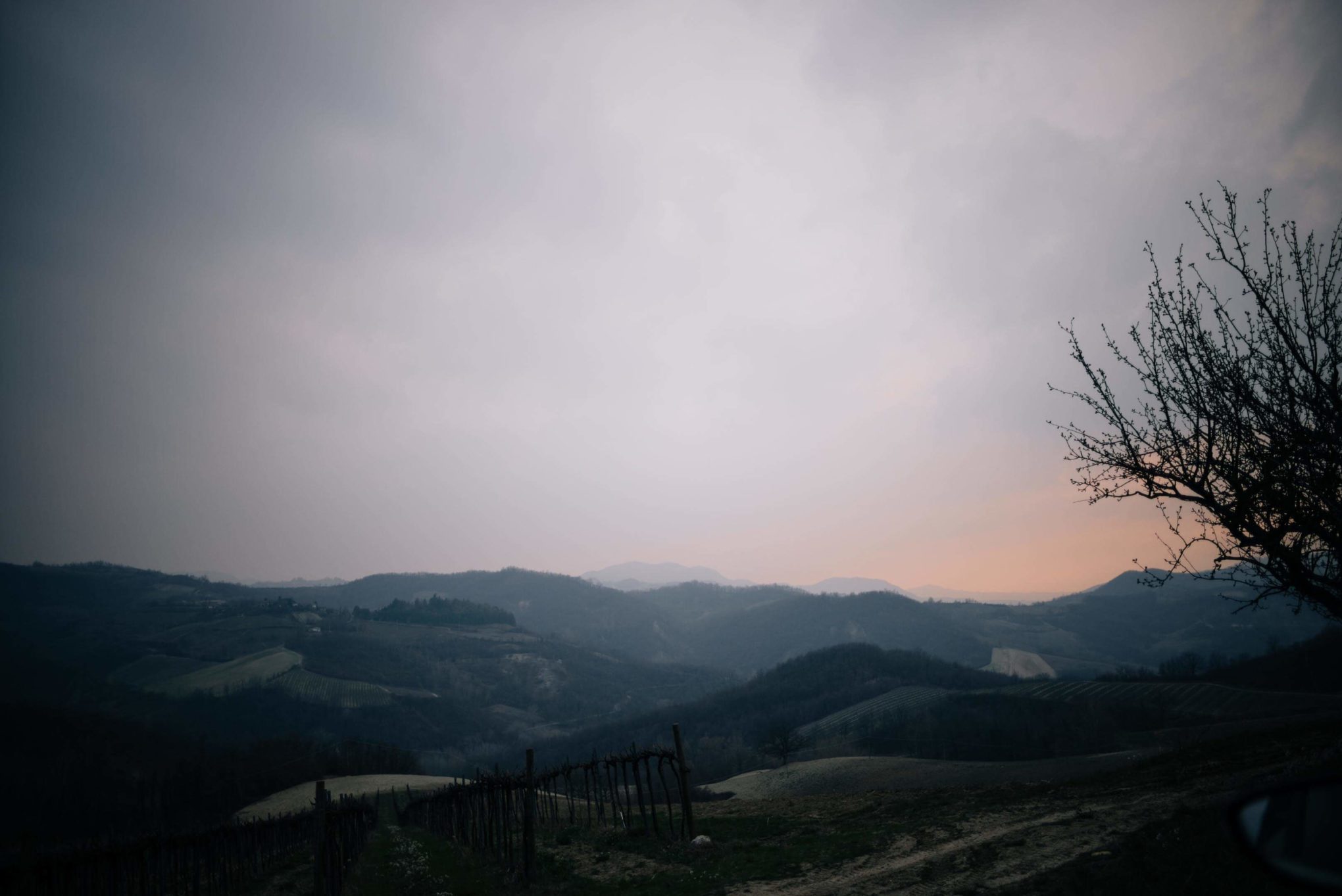 The Taste Edit, culinary photographers, recommends visiting this magical winery in northern Italy. Castello di Stefanago is near the town of Pavia in Lombardy. Winemaker and owner Giacomo Baruffaldi gives us a tour of the winery where they make Baruffaldi natural wines. Sunset over the hills.