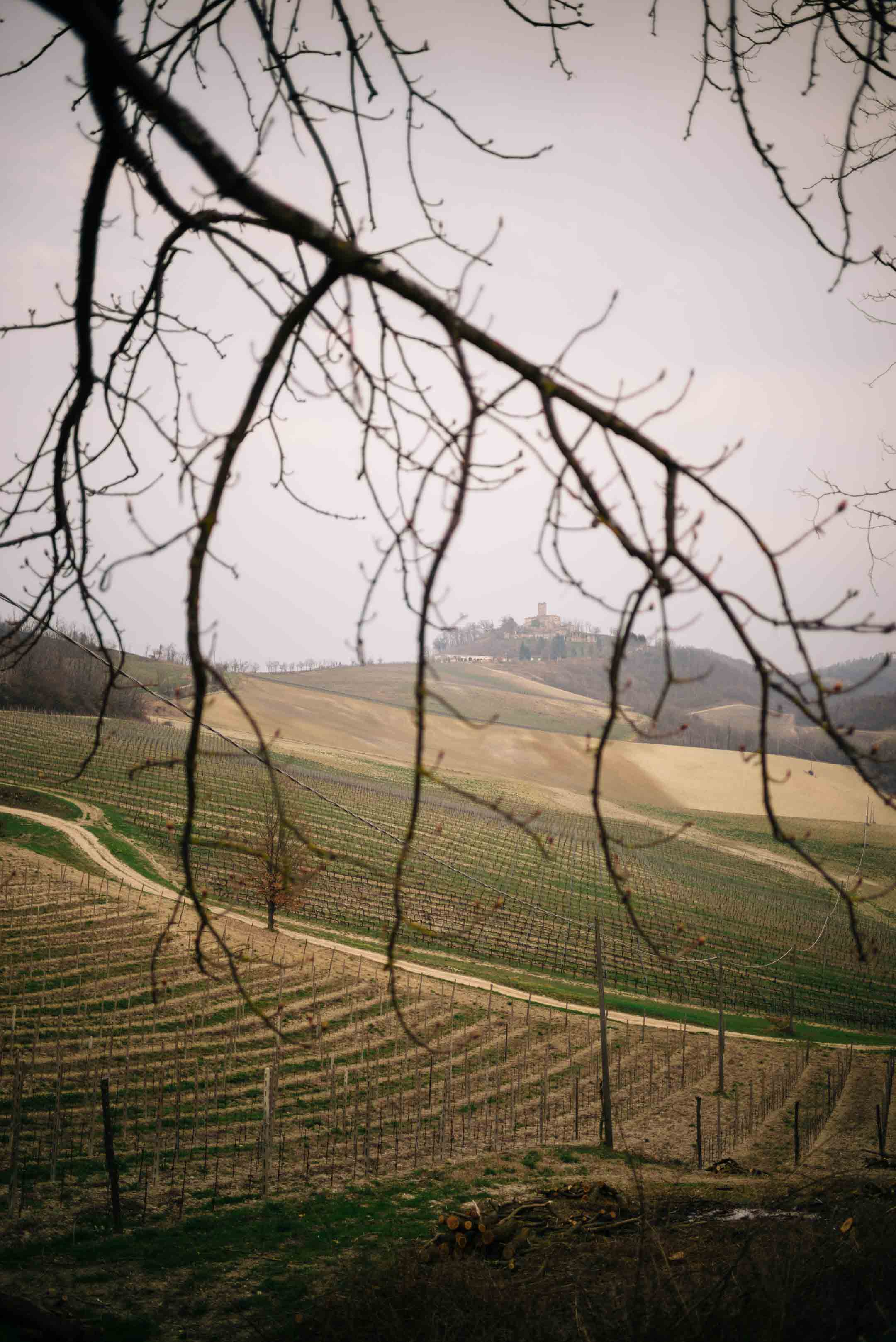 The Taste Edit, culinary photographers, recommends visiting this magical winery in northern Italy. Castello di Stefanago is near the town of Pavia in Lombardy. Winemaker and owner Giacomo Baruffaldi gives us a tour of the winery where they make Baruffaldi natural wines. Looking back at the beautiful castle.