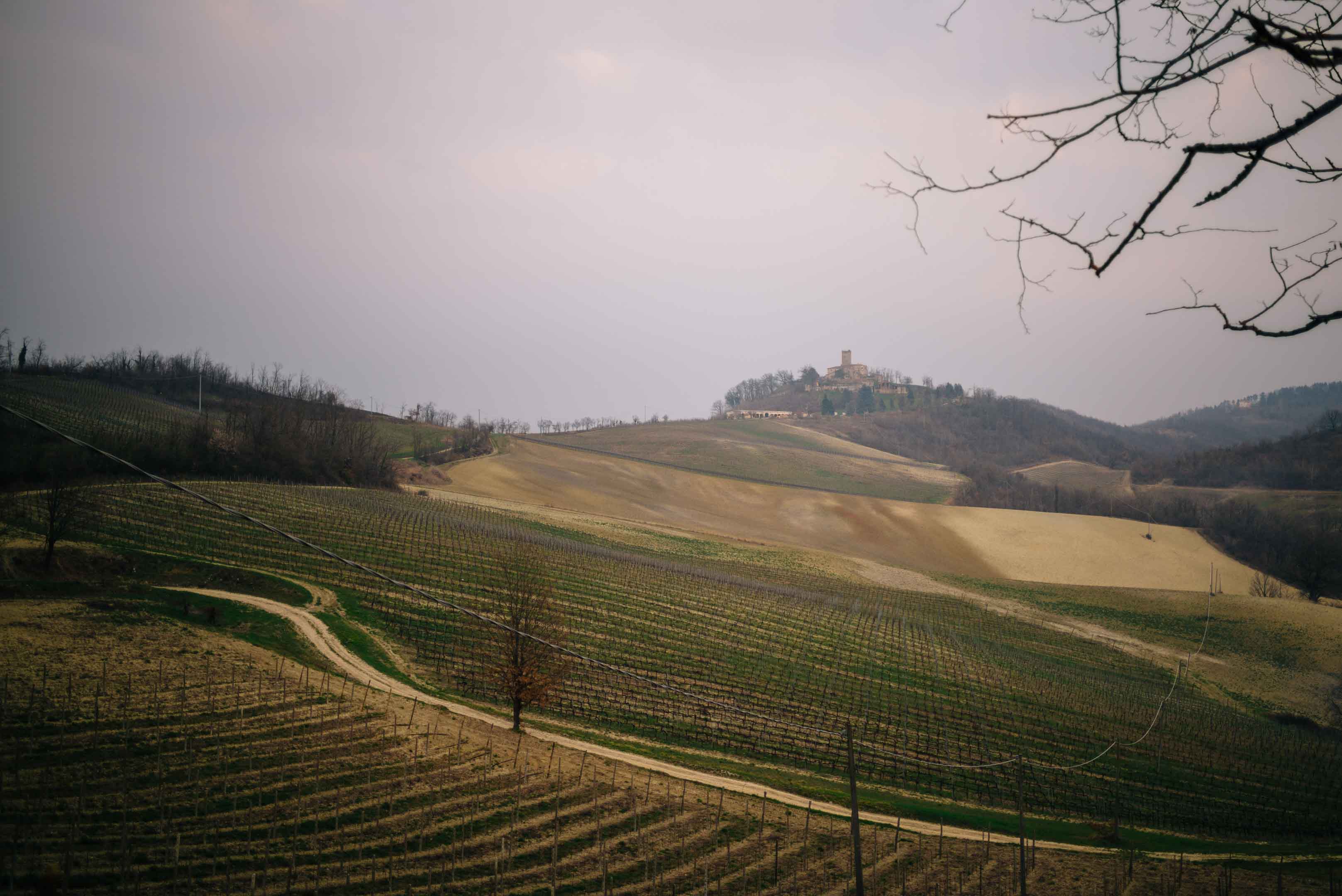 The Taste Edit, culinary photographers, recommends visiting this magical winery in northern Italy. Castello di Stefanago is near the town of Pavia in Lombardy. Winemaker and owner Giacomo Baruffaldi gives us a tour of the winery where they make Baruffaldi natural wines. The rolling vineyards.