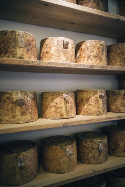 The Taste Edit food and travel bloggers and photographers recommend going to Neal's Yard Dairy in London for the best local farmhouse cheeses.