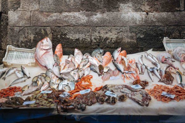 The Taste Edit visits the Catania fish market in Sicily, Italy.