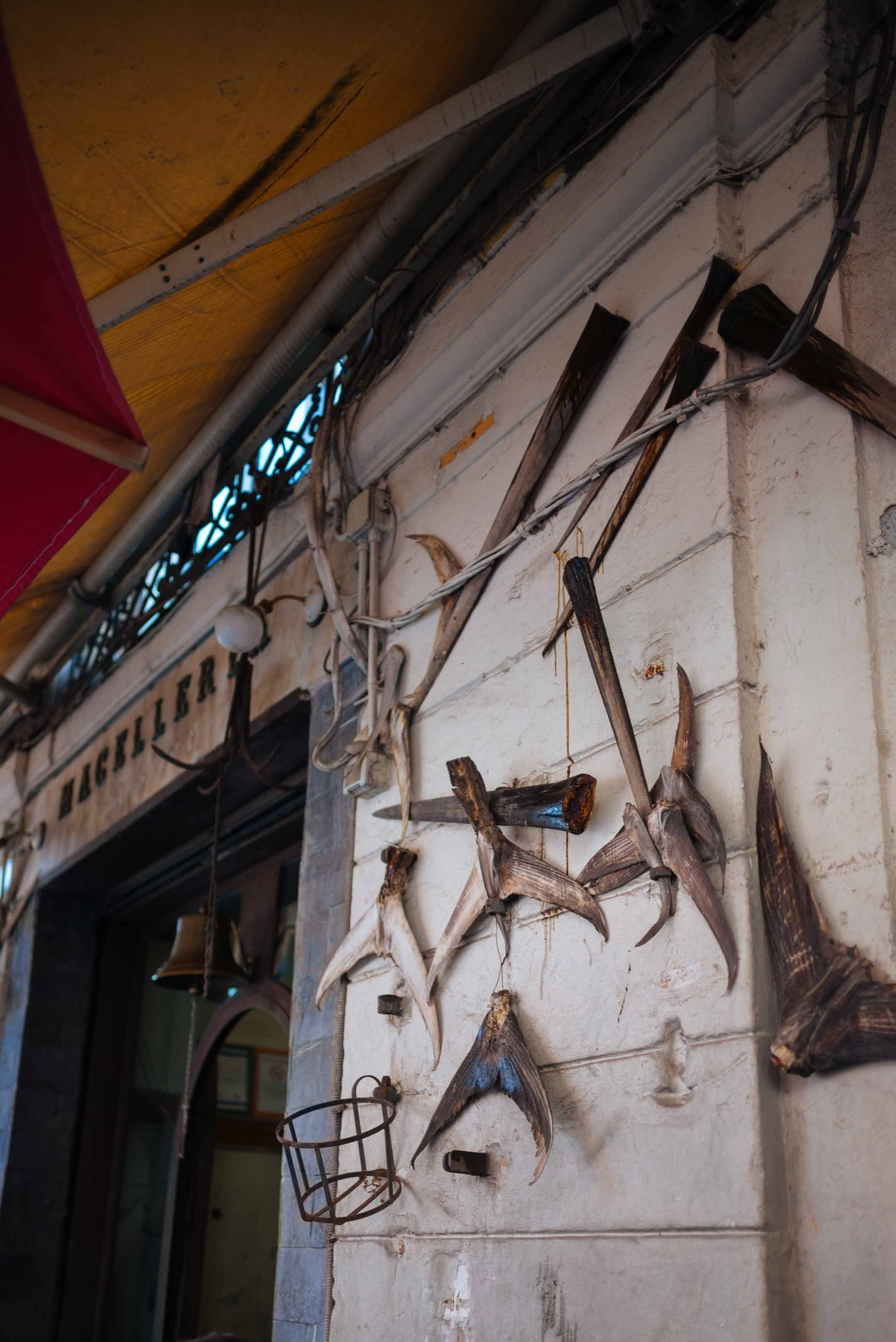  L'édition du goût va au restaurant MM avec des morceaux d'espadon sur le mur en italie en Sicile.