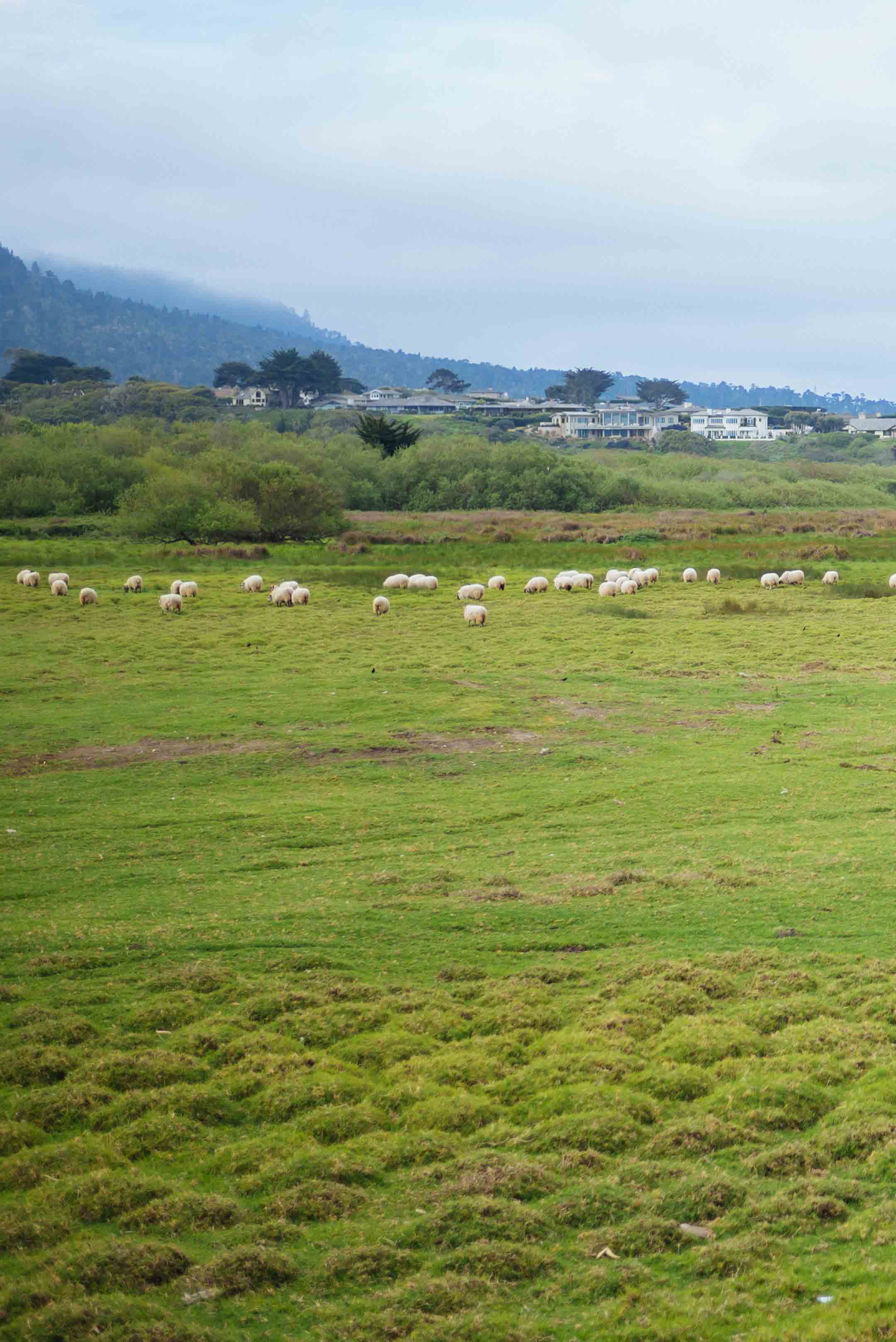 Weekend Guide to Carmel from The Taste Edit see