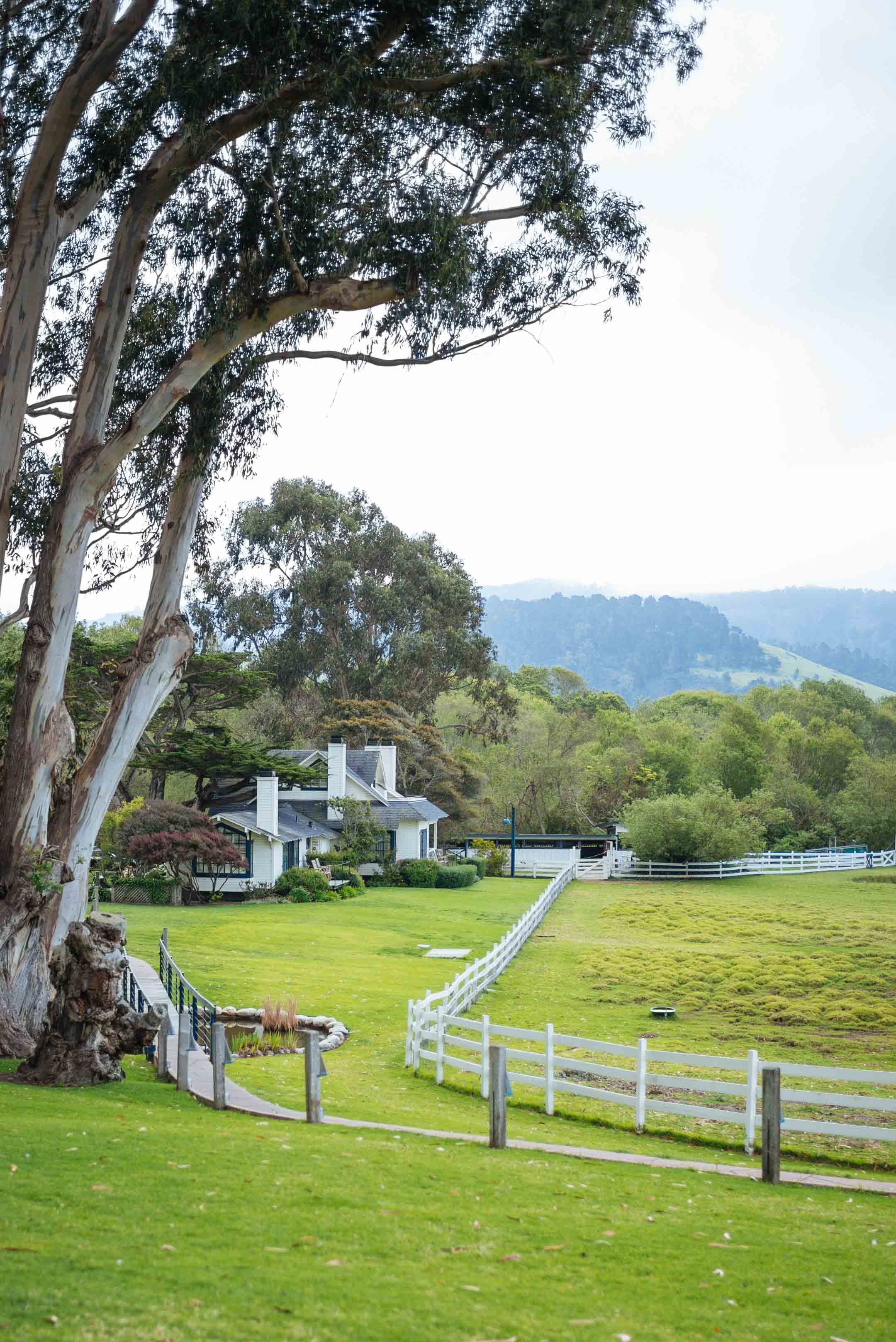 Weekend Guide to Carmel from The Taste Edit - homes right on the ocean