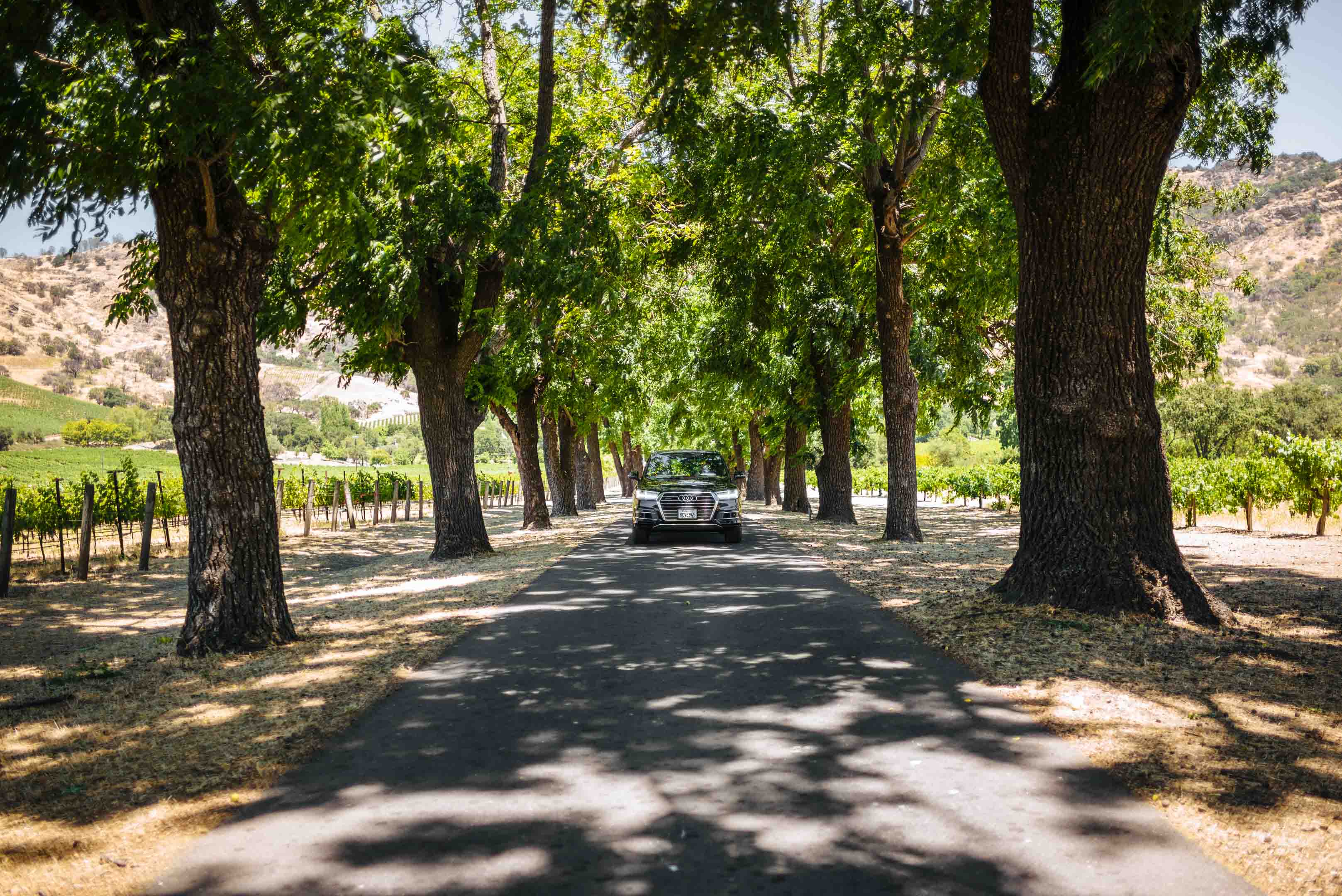 Take your Audi on a day trip to Napa