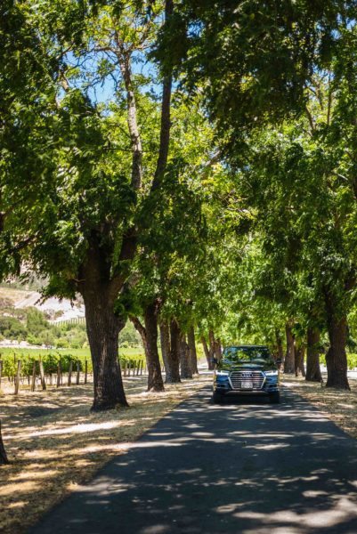 Take your Audi on a day trip to Napa