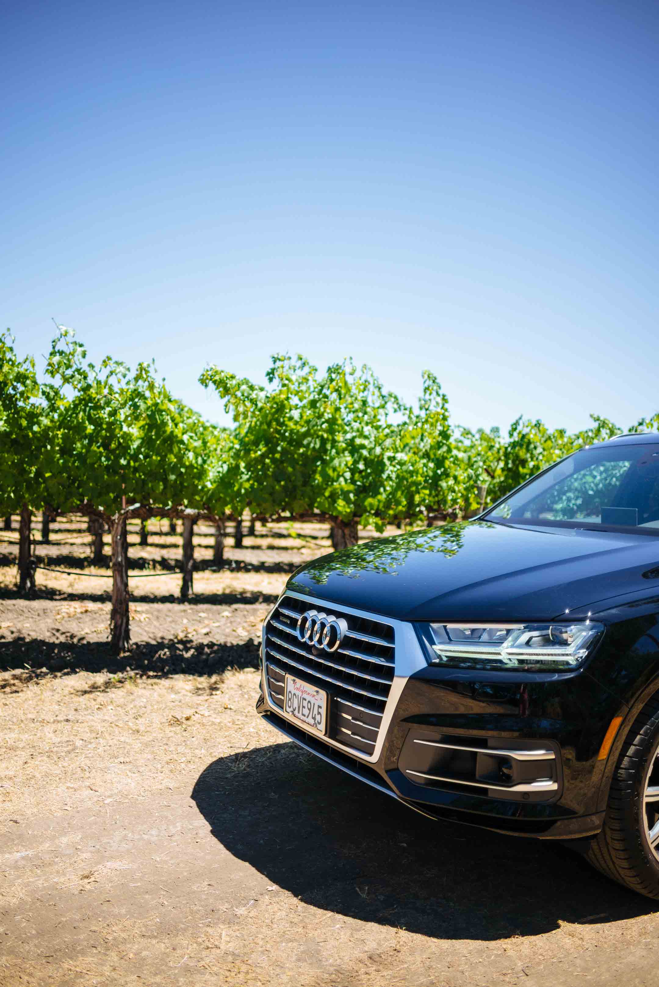 Take your Audi on a day trip to Napa