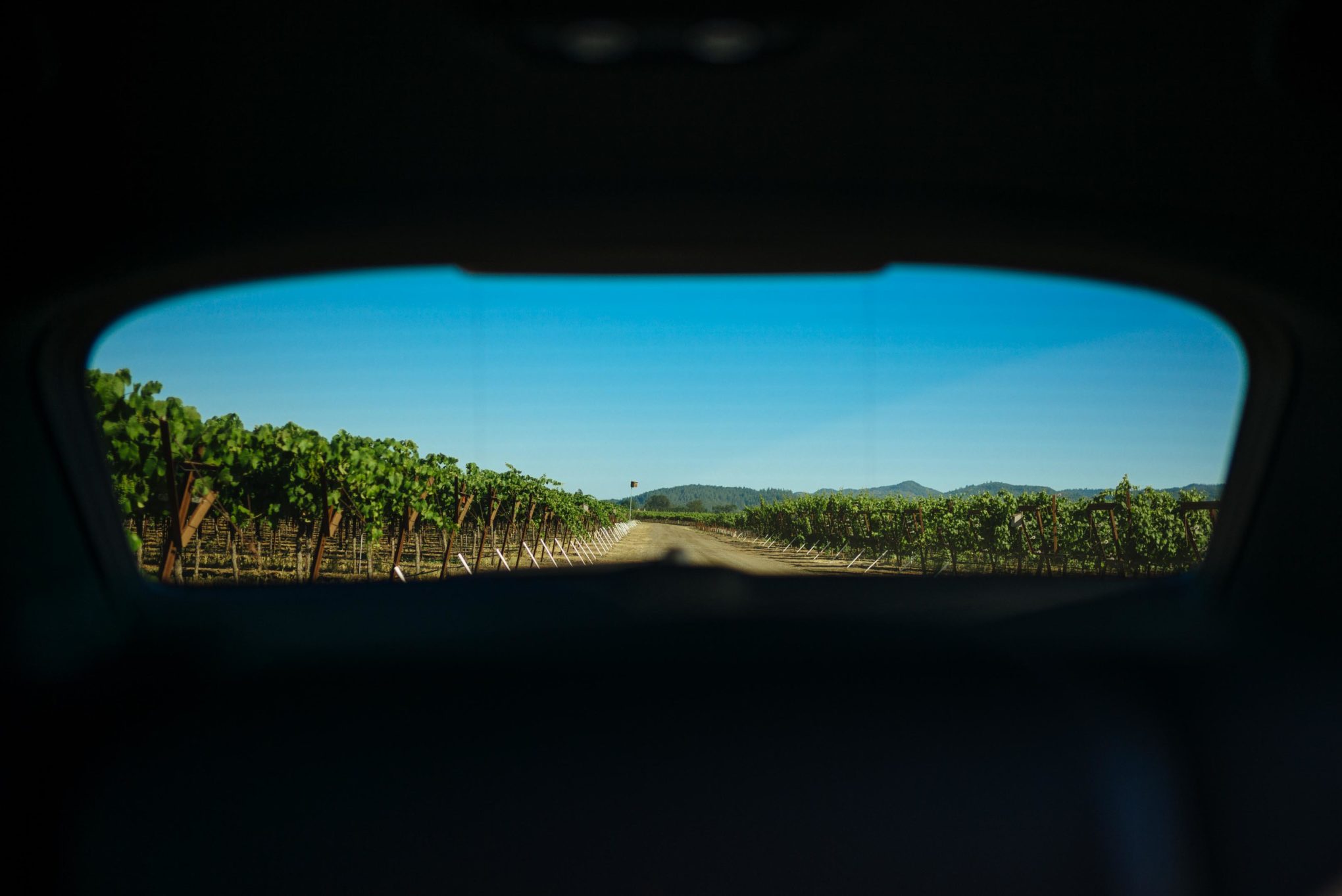 Take your Audi on a day trip to Napa