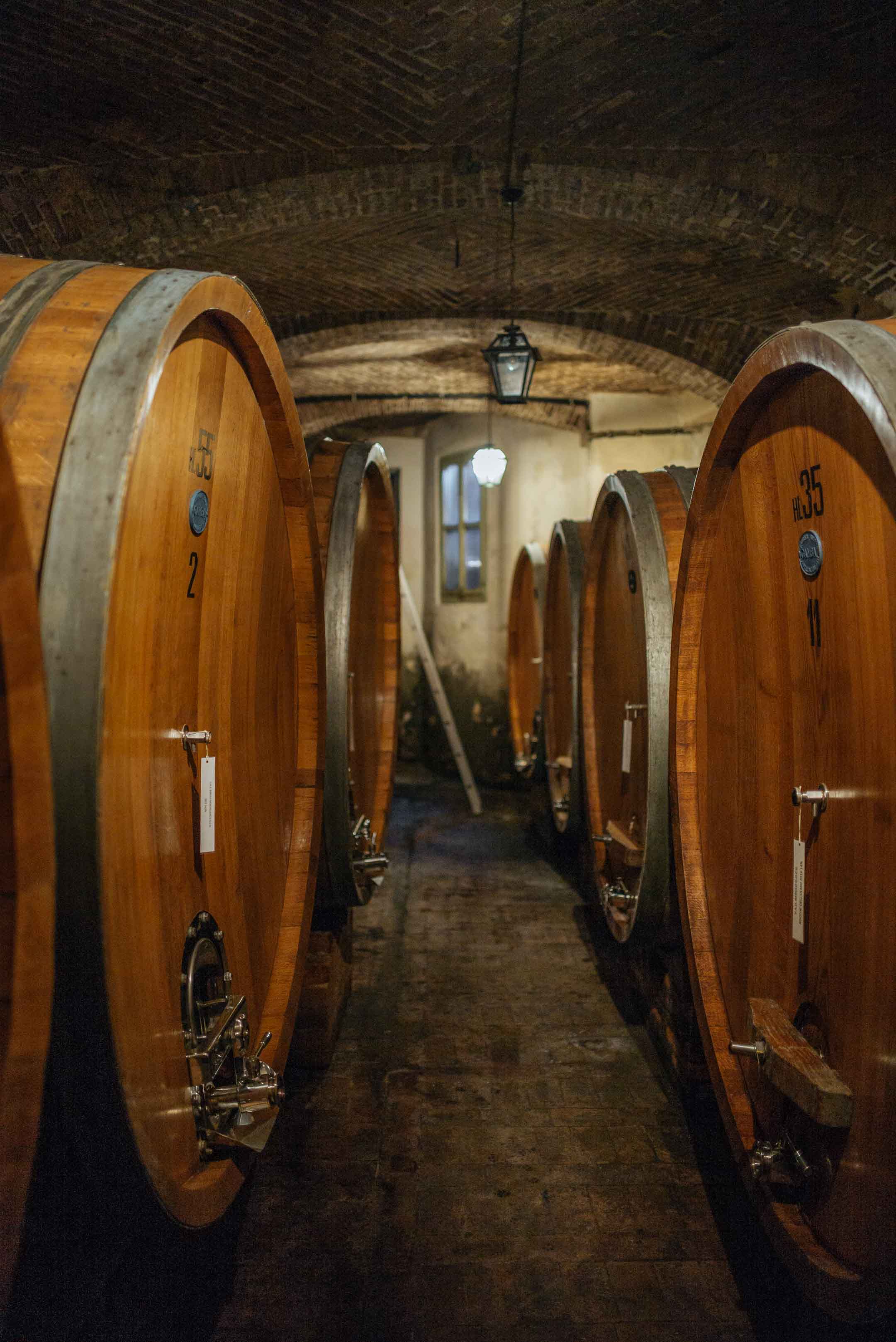 GB Burlotto winery cellars, a small production winery in the region of Barolo