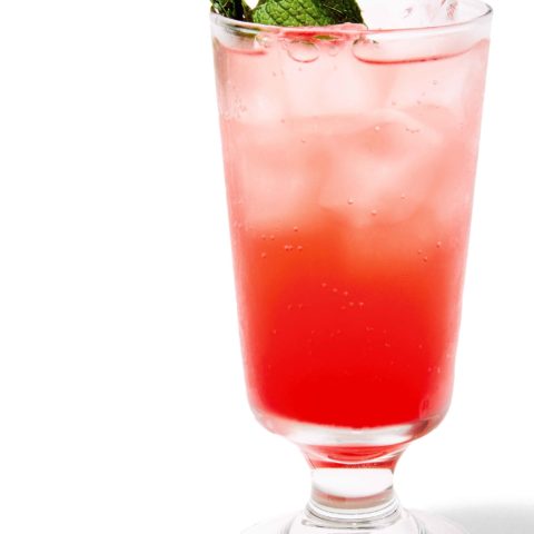 POMEGRANATE-MINT SYRUP from Michael Solomonov's Israeli Soul to use for cocktails and sodas