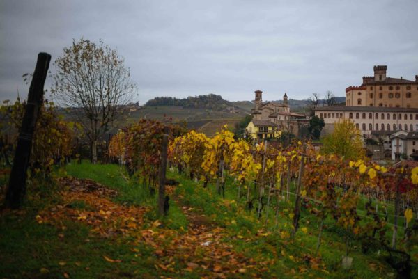 Brezza is located just at the edge of town of Barolo, view from the tasting rooms