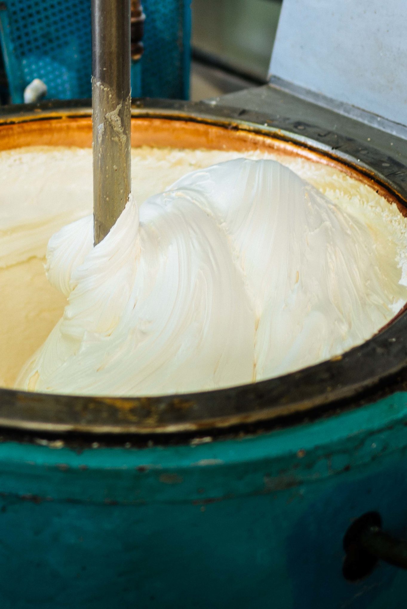 Tour a behind the scenes look at D. Barbero torrone and chocolate factory in Asti, piedmont
