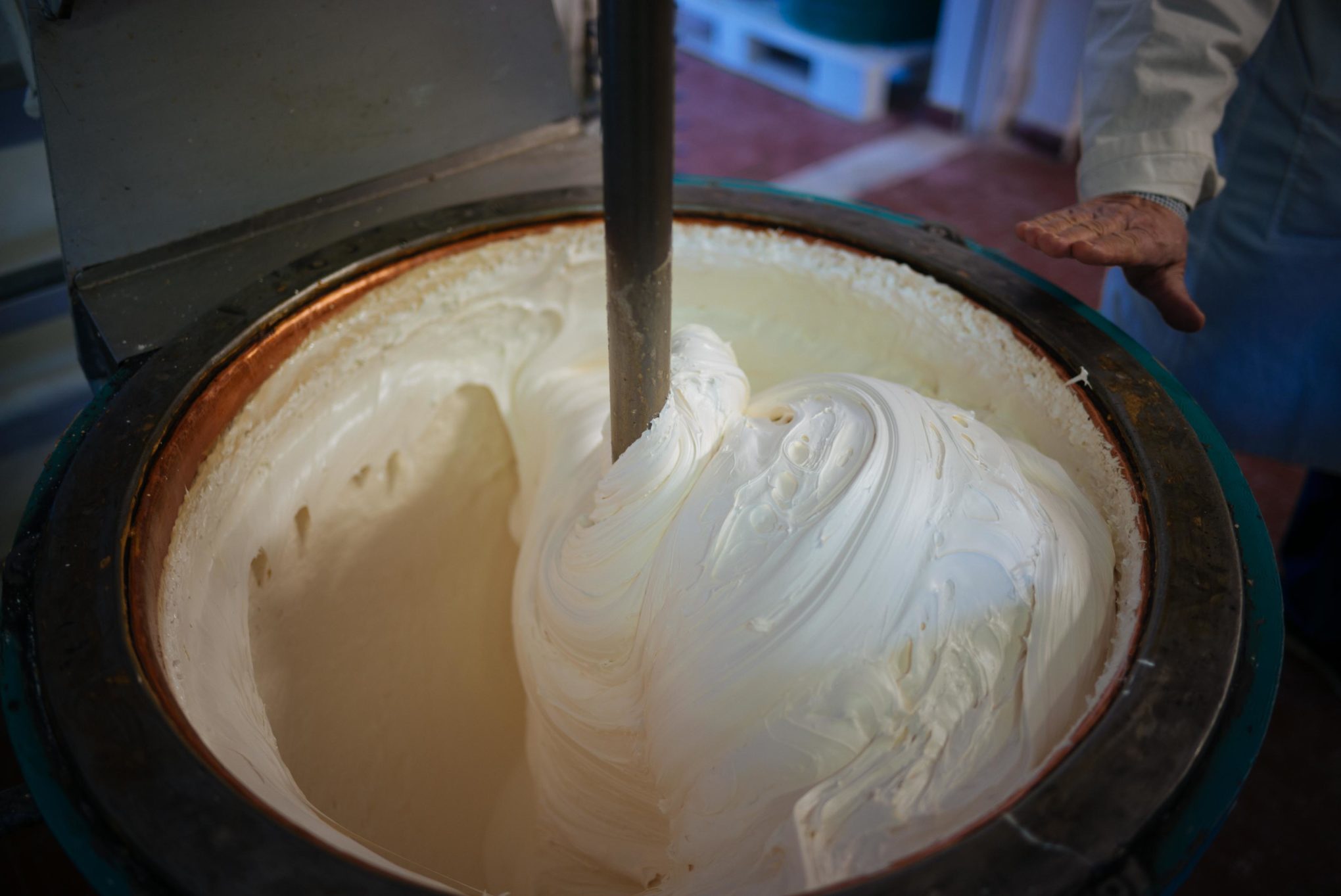 Tour a behind the scenes look at D. Barbero torrone and chocolate factory in Asti, piedmont