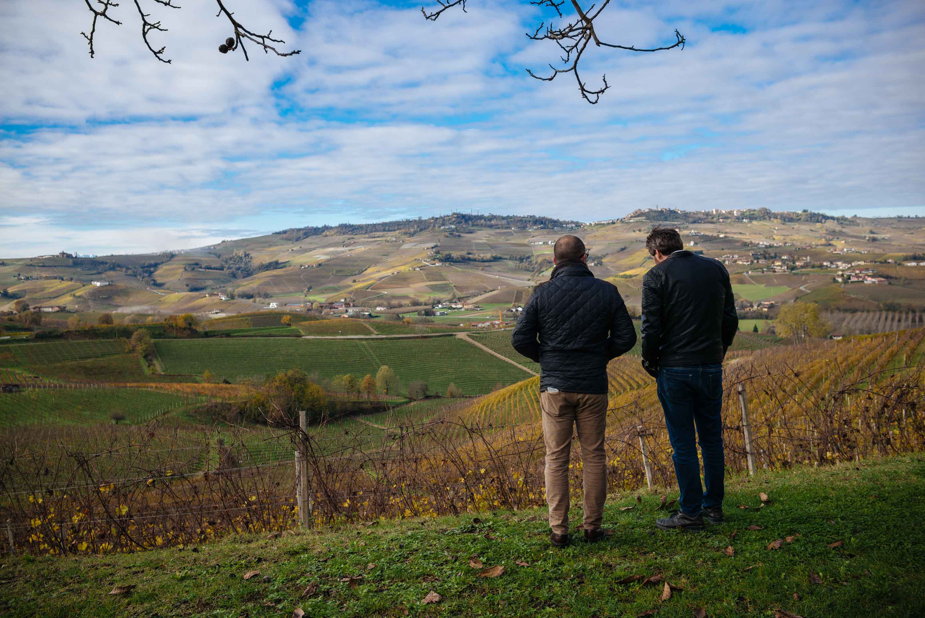 Alfio Cavallotto wines outside of Castiglione Falletto - view of the vineyards in the Barolo region in Piedmont