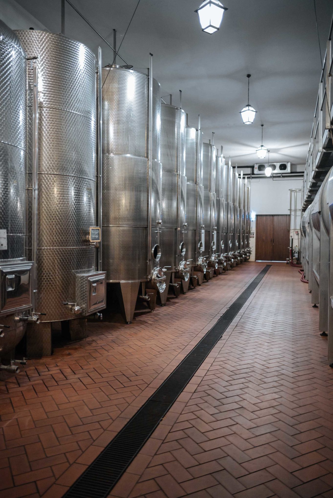 Alfio Cavallotto wines outside of Castiglione Falletto - also makes a beautiful white wine from the Barolo region in Piedmont