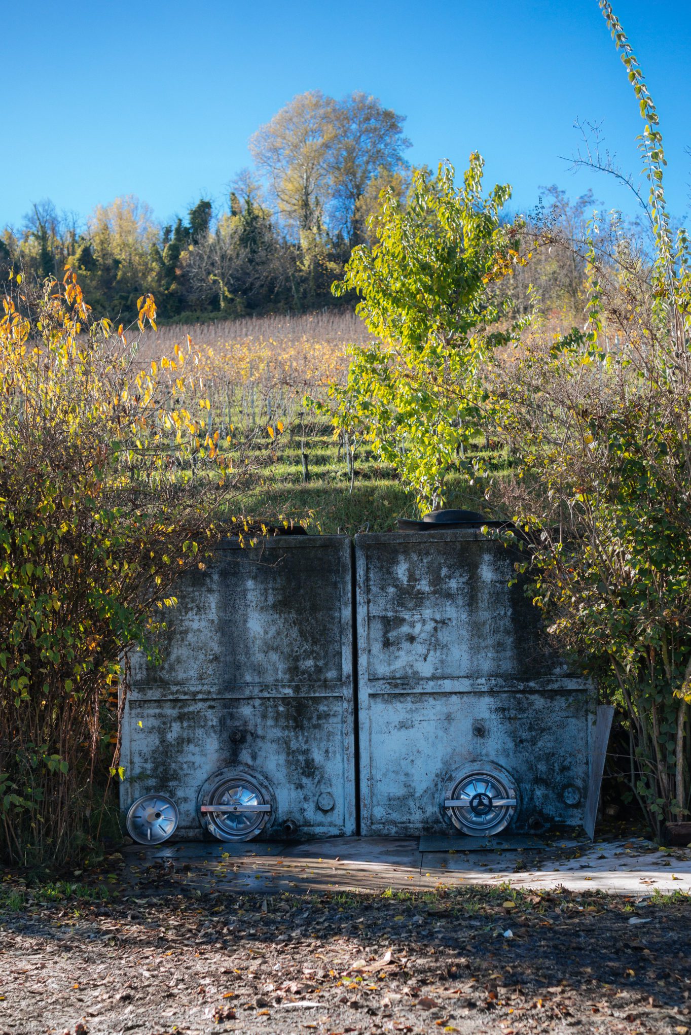 Winemaker Elio Sandri in Barolo gives us a tour of his small production natural wine winery