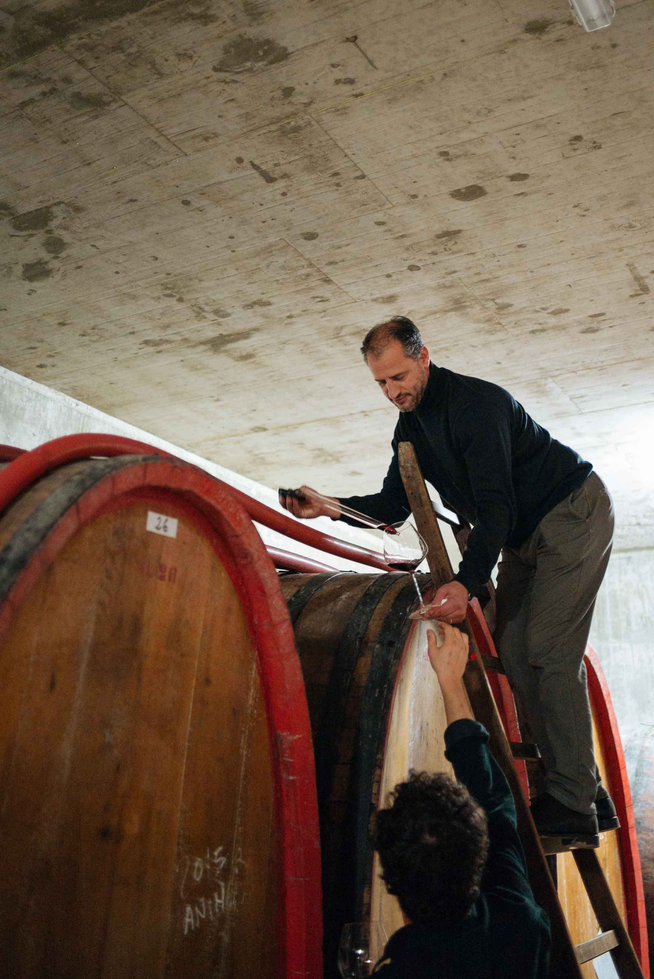 Winemaker Elio Sandri in Barolo gives us a tour of his small production natural wine winery