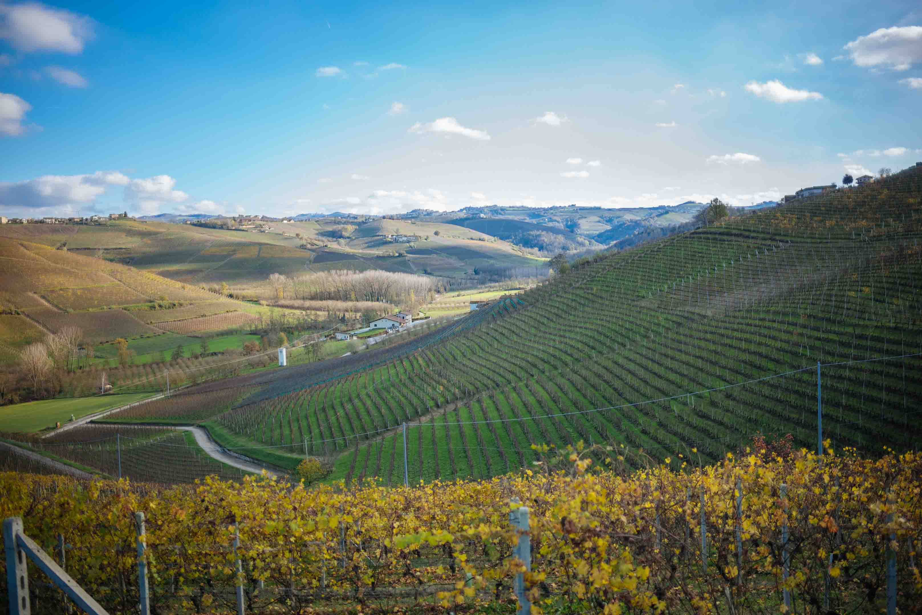 Winemaker Elio Sandri in Barolo gives us a tour of his small production natural wine vineyards